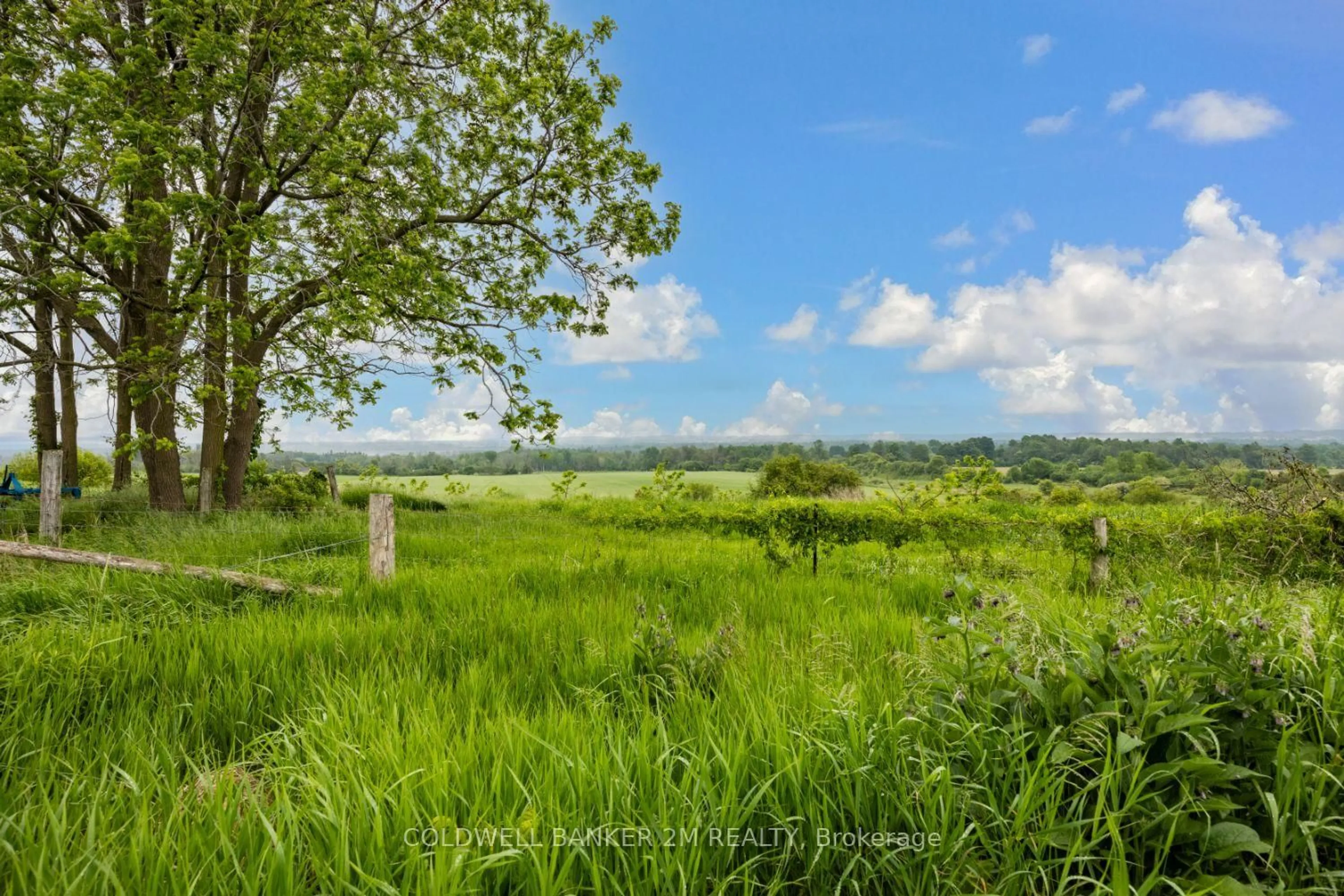A pic from outside/outdoor area/front of a property/back of a property/a pic from drone, forest/trees view for 12855 Old Simcoe Rd, Scugog Ontario L9L 1B3