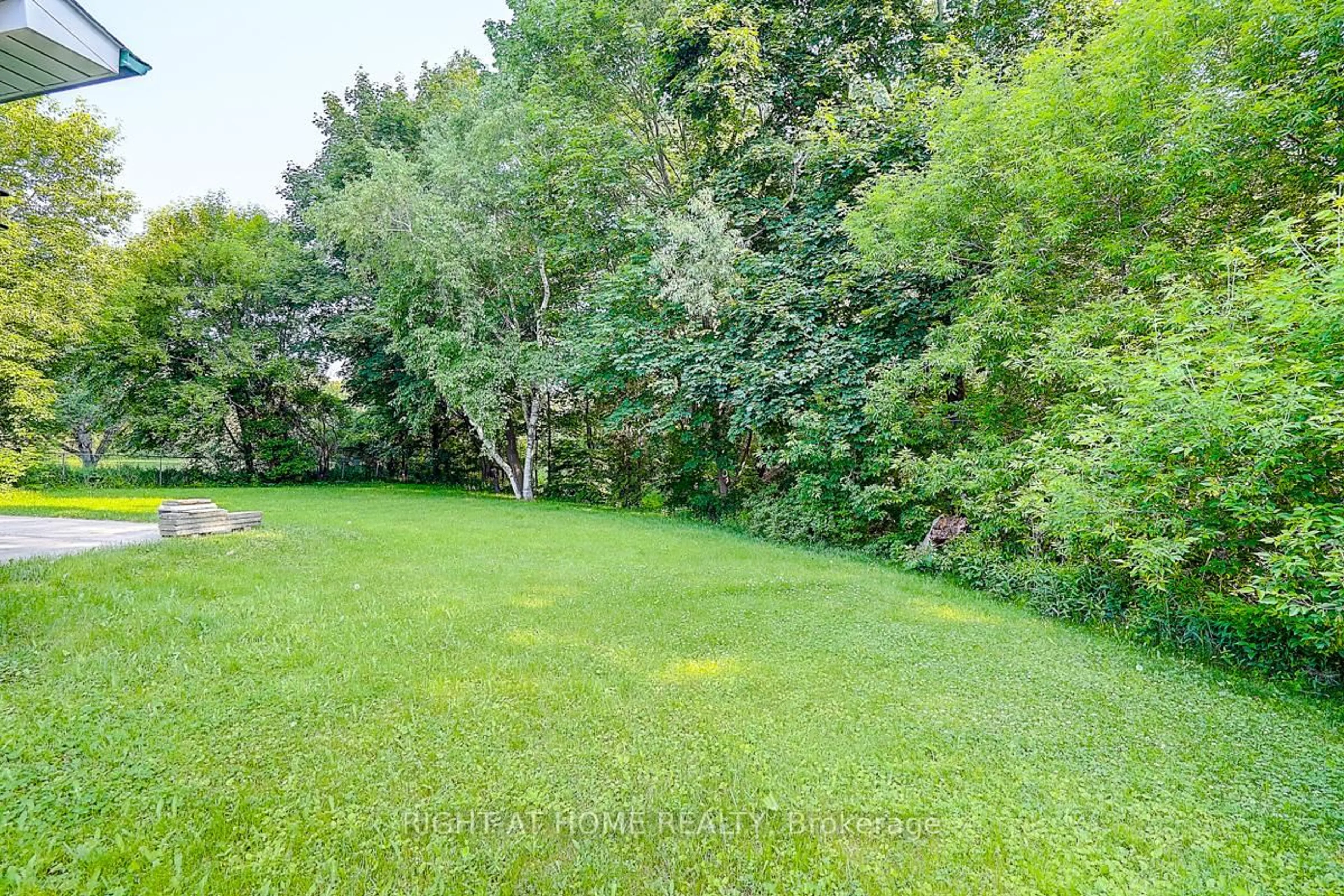 A pic from outside/outdoor area/front of a property/back of a property/a pic from drone, forest/trees view for 2 Citadel Dr, Toronto Ontario M1K 4S2