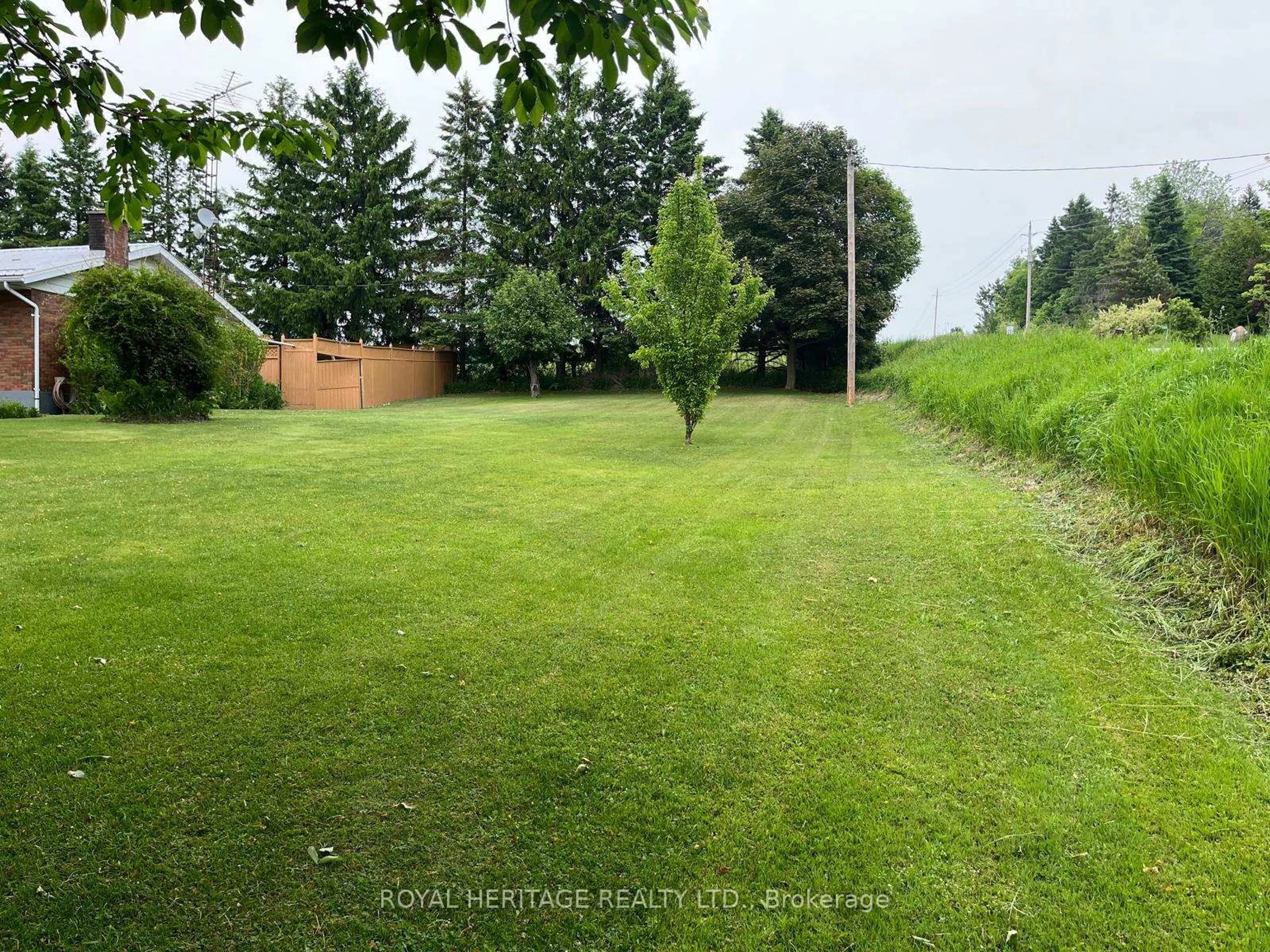 A pic from outside/outdoor area/front of a property/back of a property/a pic from drone, forest/trees view for 6019 Morton Rd, Clarington Ontario L0A 1E0