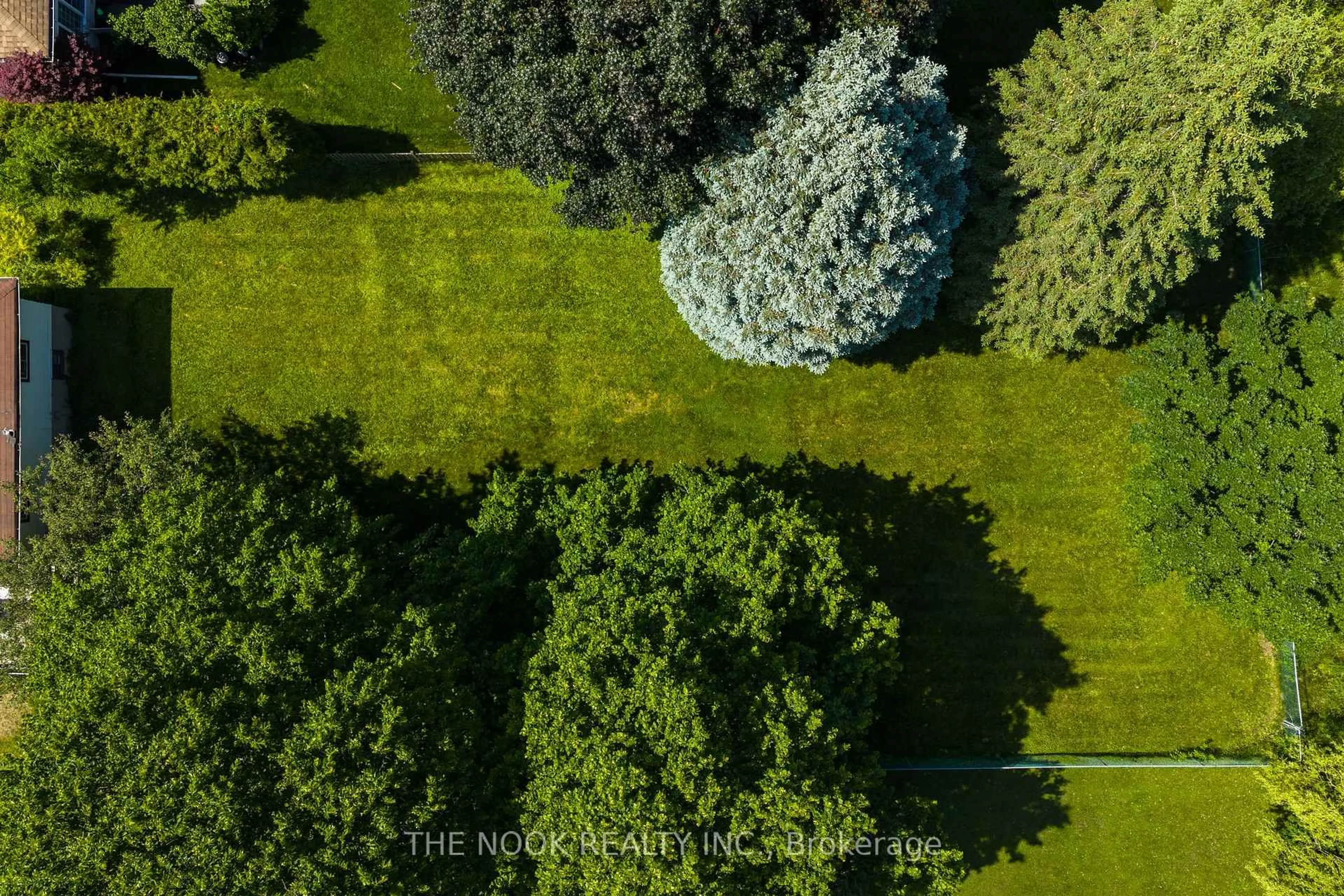 A pic from outside/outdoor area/front of a property/back of a property/a pic from drone, forest/trees view for 599 Amos St, Clarington Ontario L1B 1C2