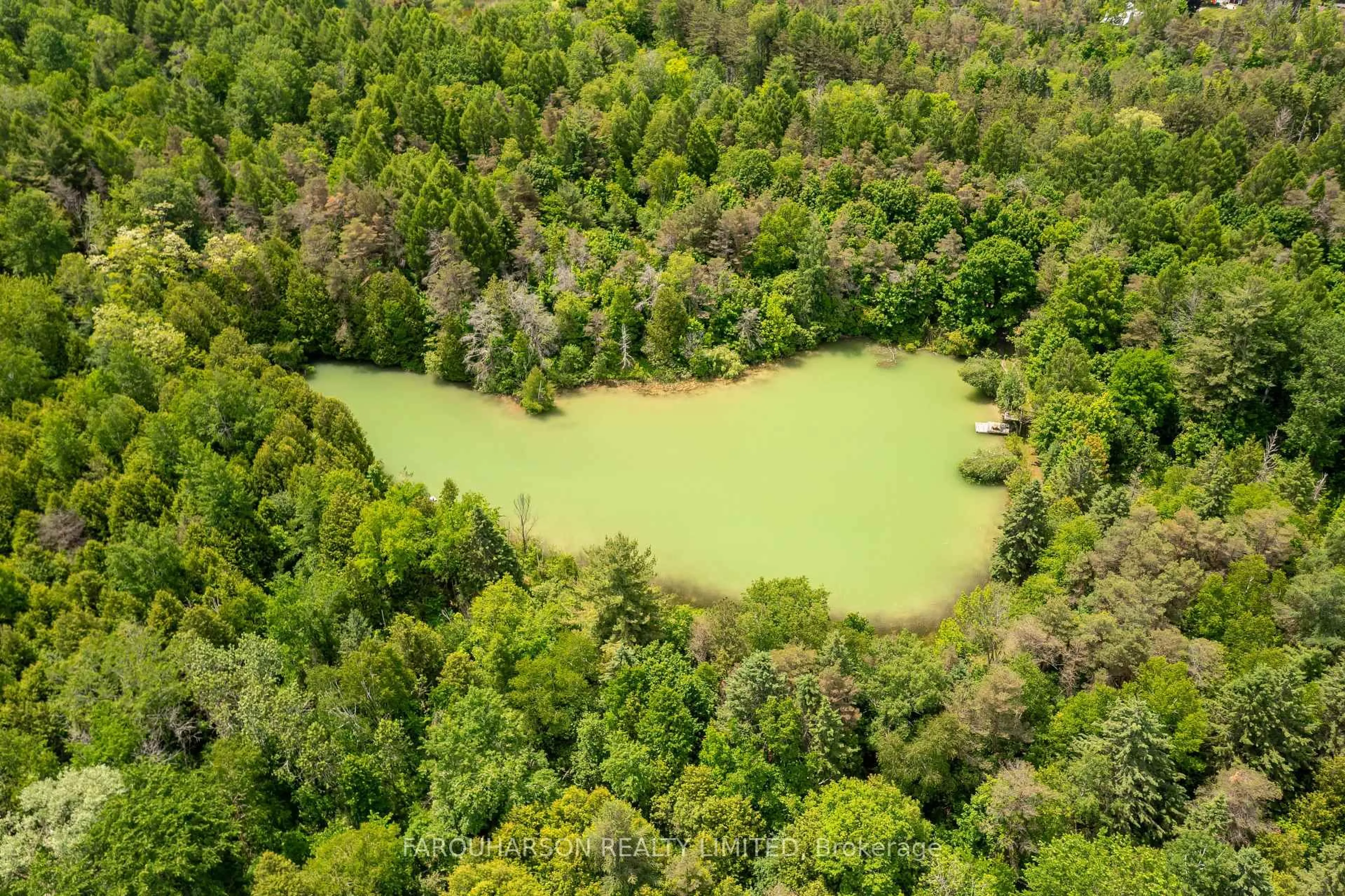 A pic from outside/outdoor area/front of a property/back of a property/a pic from drone, forest/trees view for 71 Ward Rd, Scugog Ontario L9L 1W6