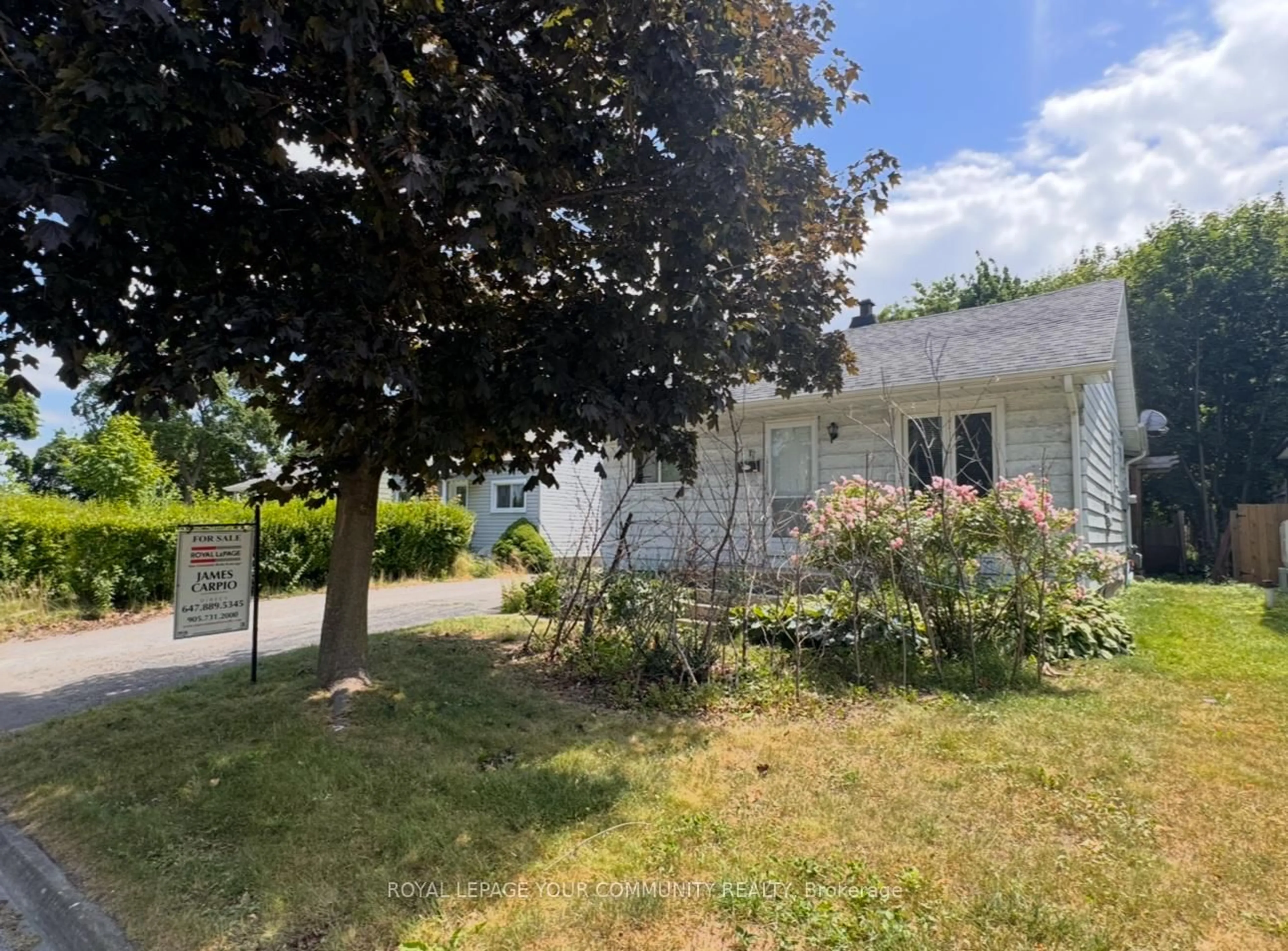 Unknown for 11 Pine St, Ajax Ontario L1S 1X8