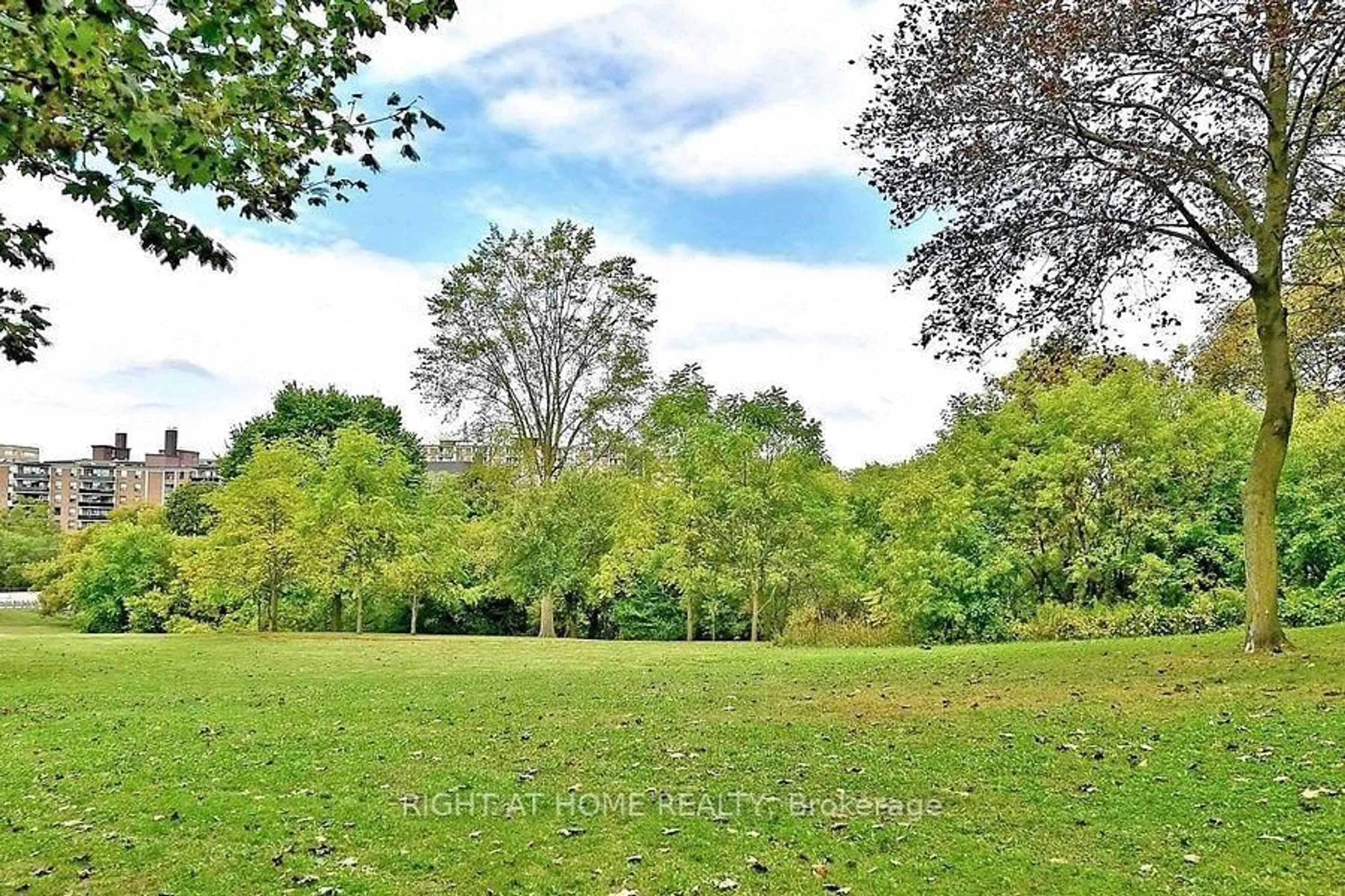 A pic from outside/outdoor area/front of a property/back of a property/a pic from drone, forest/trees view for 5 Massey Sq #717, Toronto Ontario M4C 5L6