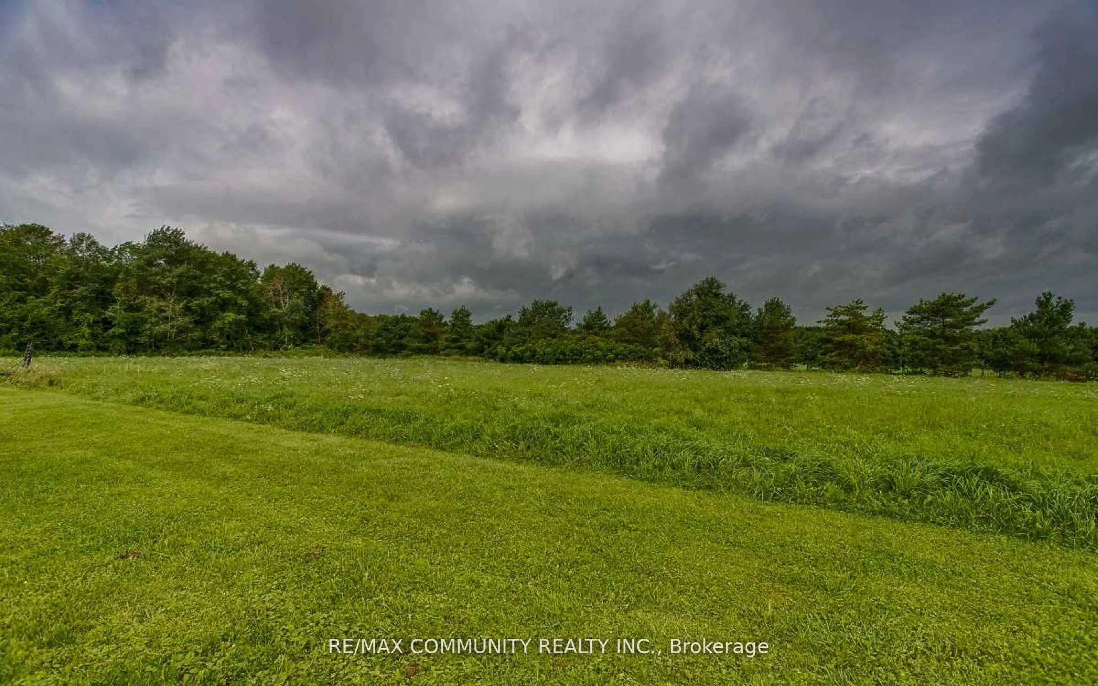 A pic from outside/outdoor area/front of a property/back of a property/a pic from drone, forest/trees view for 11490 Simcoe St, Scugog Ontario L9L 1B3