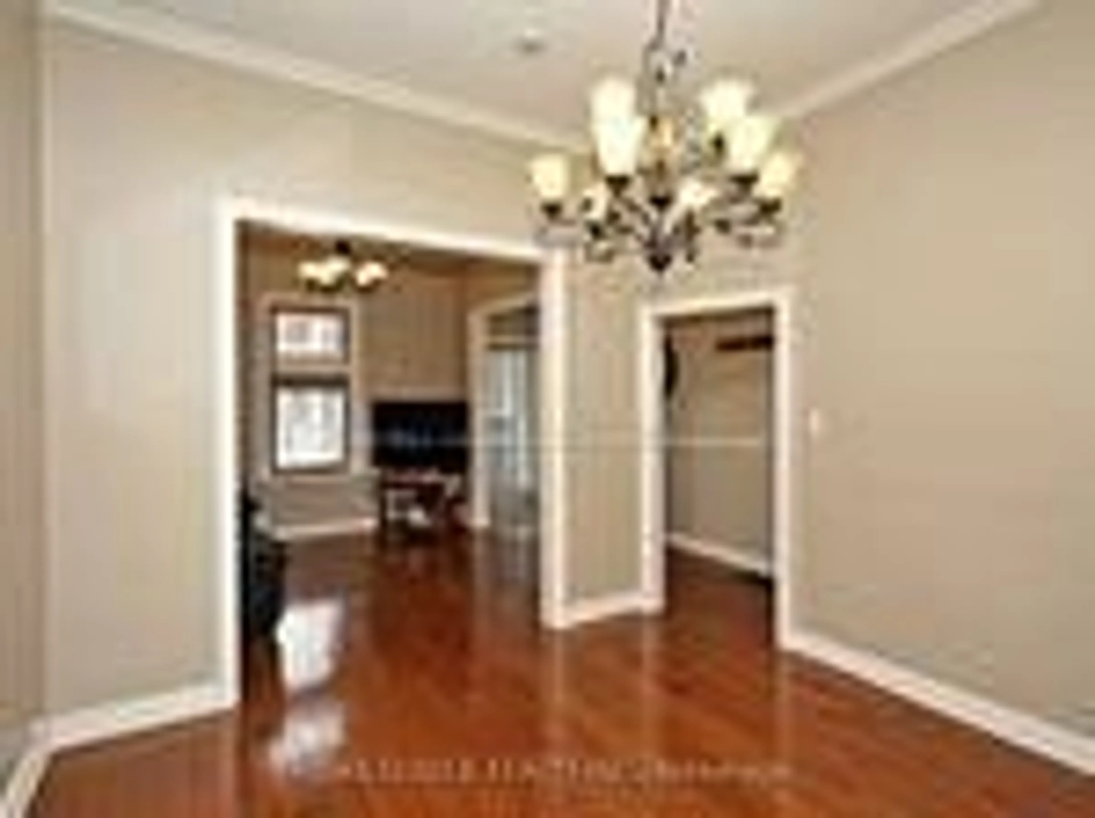 Dining room, wood/laminate floor for 106 Carlaw Ave, Toronto Ontario M4M 2R7