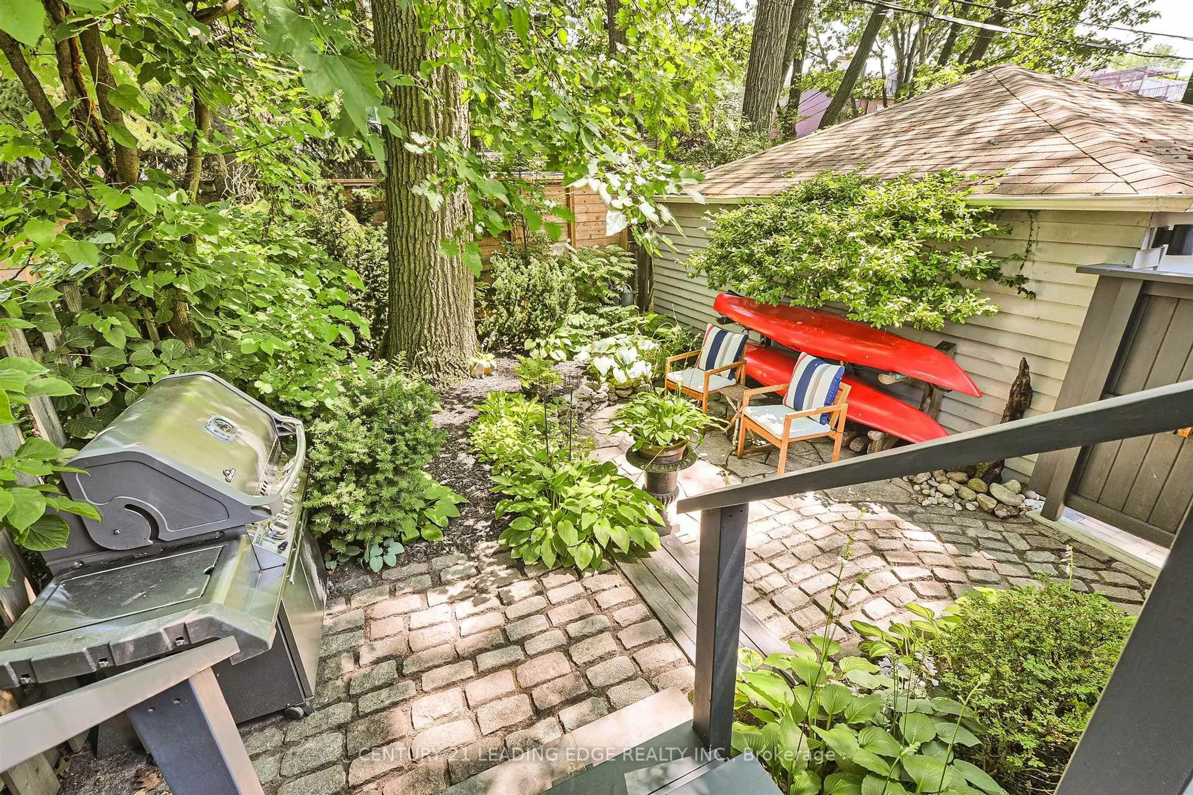 Patio, forest/trees view for 101 Silver Birch Ave, Toronto Ontario M4E 3L3
