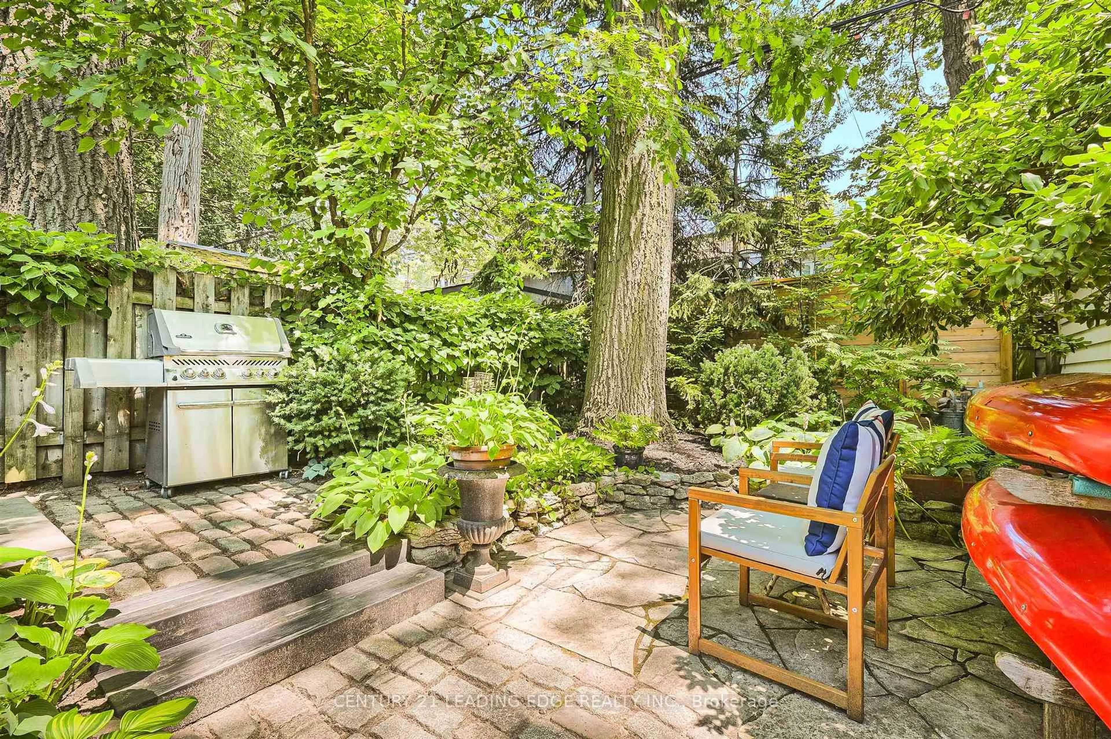 Patio, forest/trees view for 101 Silver Birch Ave, Toronto Ontario M4E 3L3