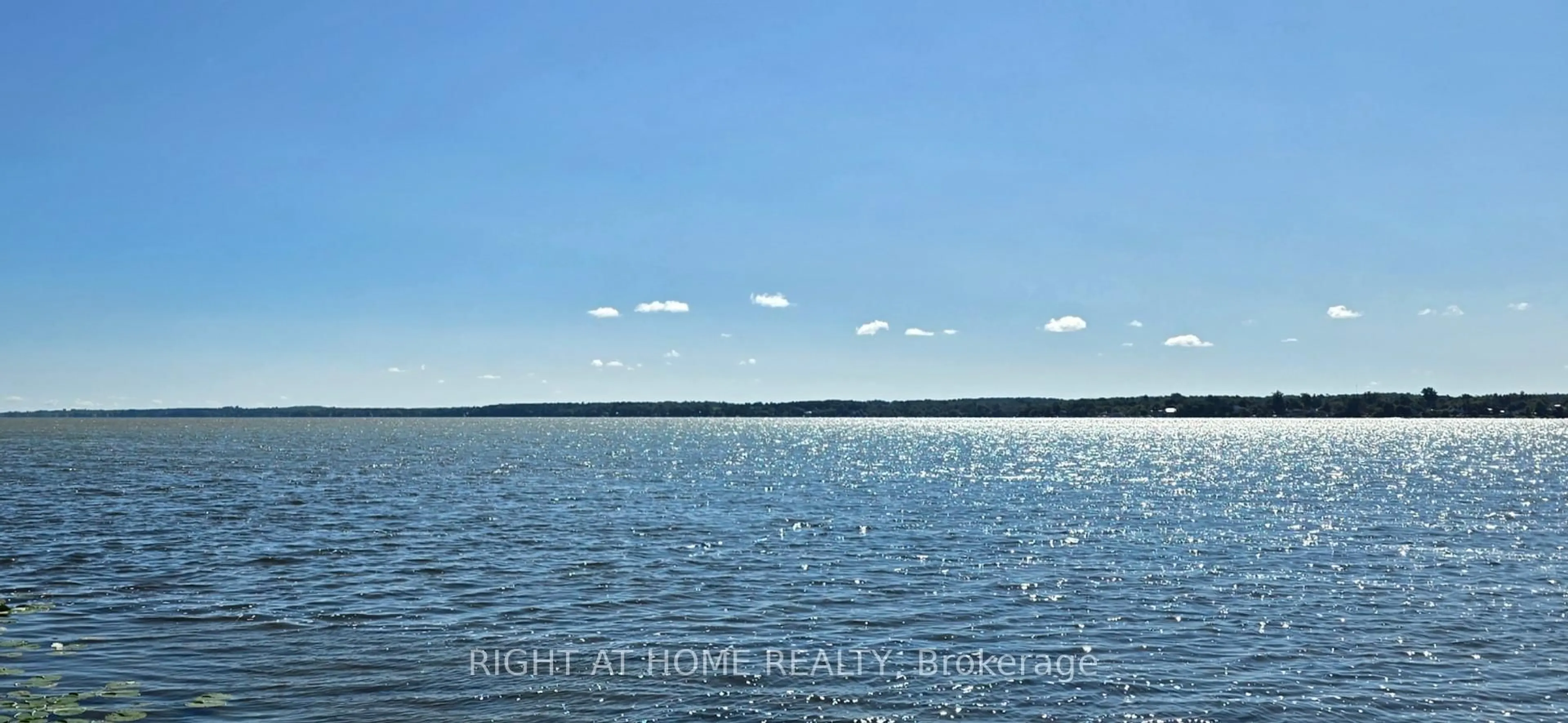 Blurry image for 179 Aldred Dr, Scugog Ontario L9L 1B4