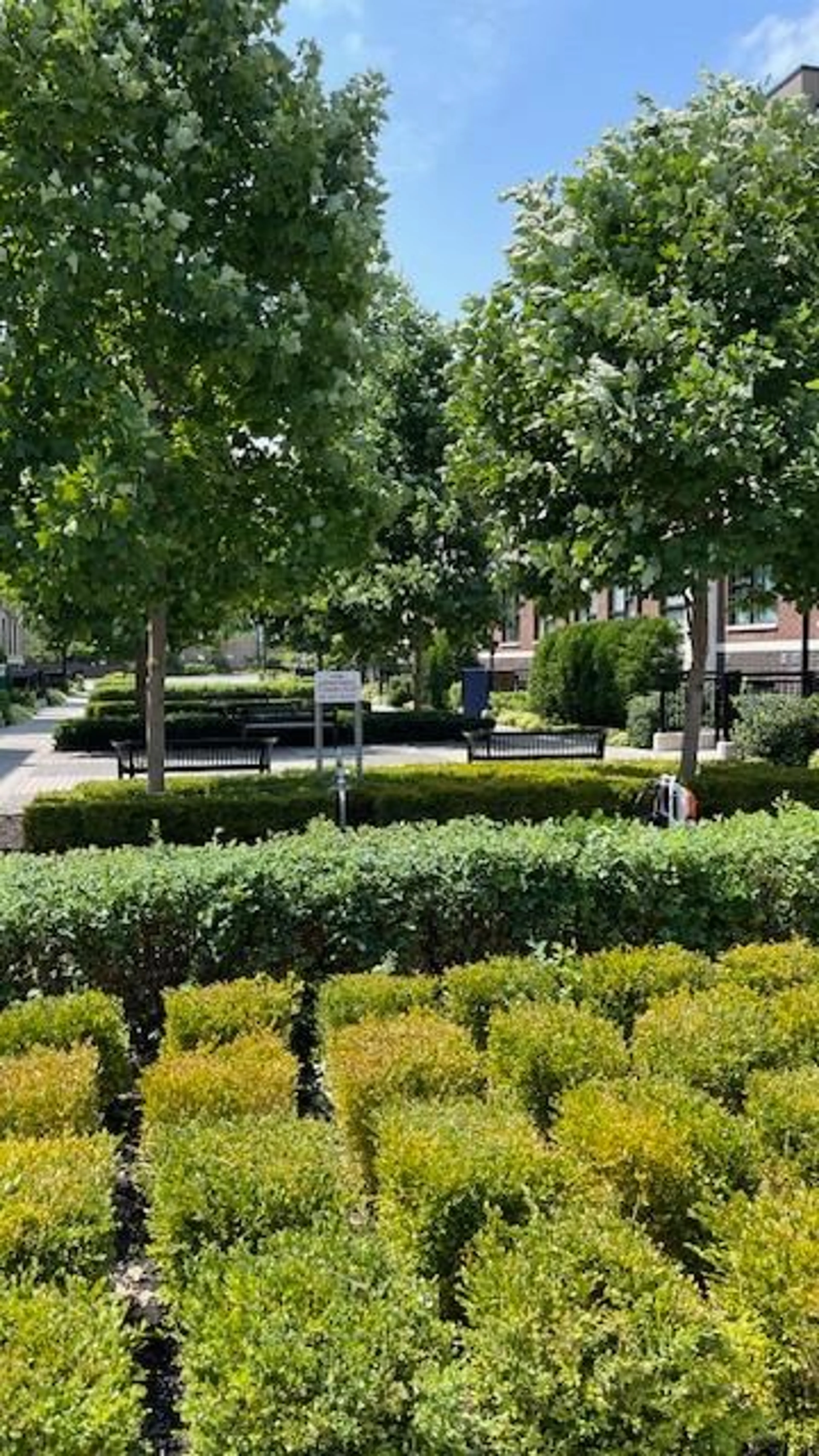 A pic from outside/outdoor area/front of a property/back of a property/a pic from drone, street for 8835 Sheppard Ave #319, Toronto Ontario M1B 5R7