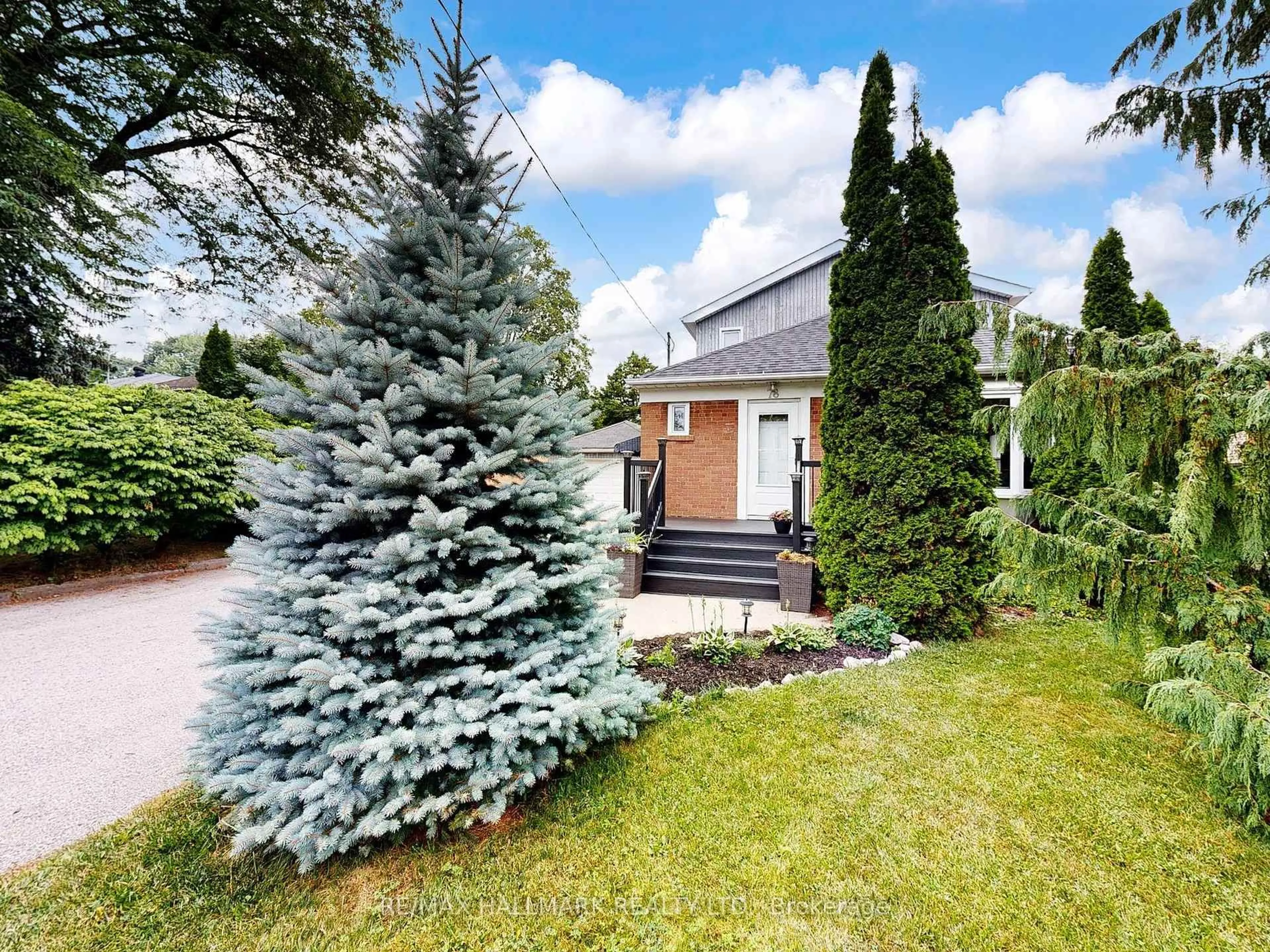 A pic from outside/outdoor area/front of a property/back of a property/a pic from drone, street for 78 Cree Ave, Toronto Ontario M1M 1Z8