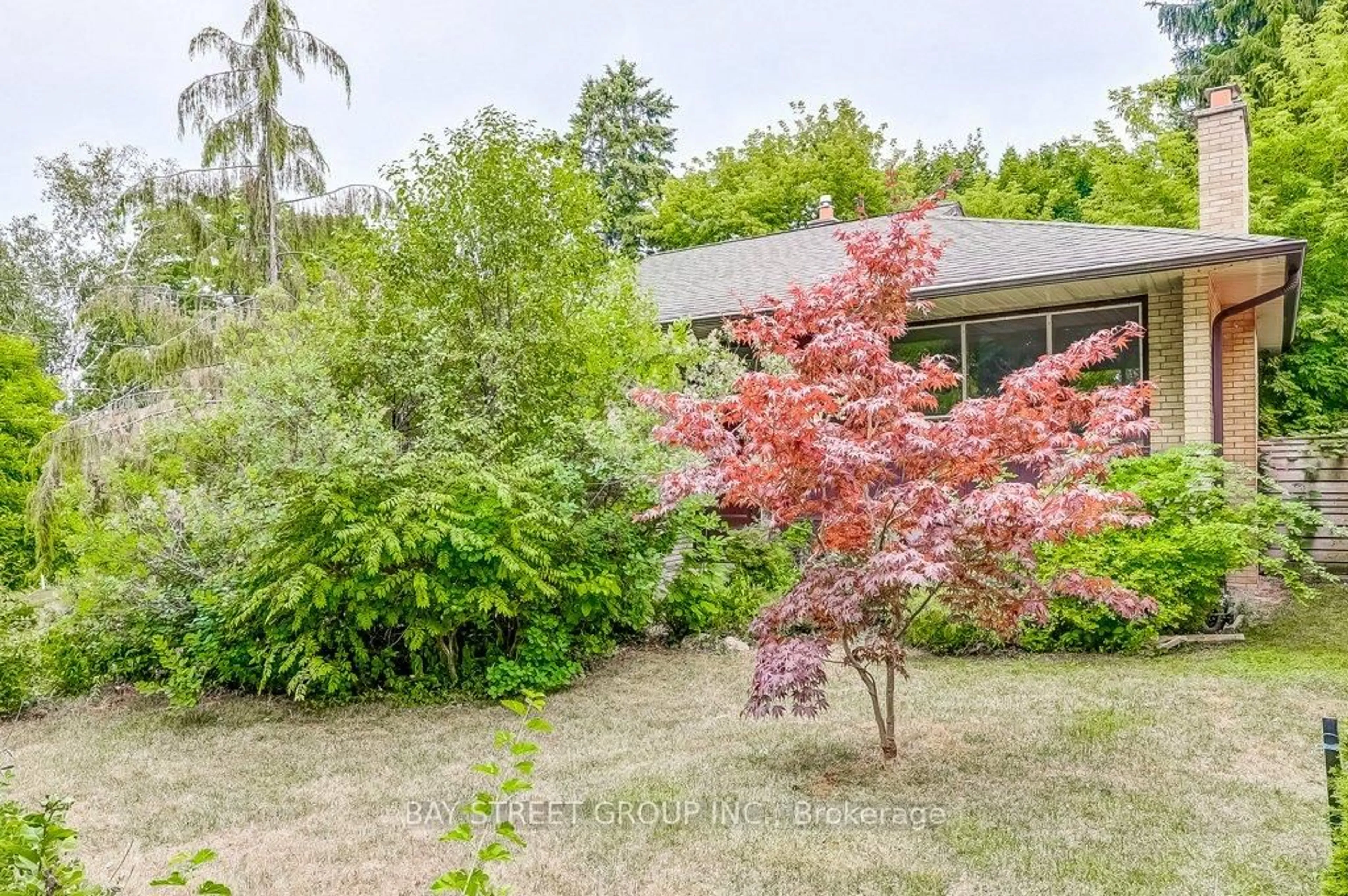 A pic from outside/outdoor area/front of a property/back of a property/a pic from drone, forest/trees view for 574 Rouge Hills Dr, Toronto Ontario M1C 2Z8