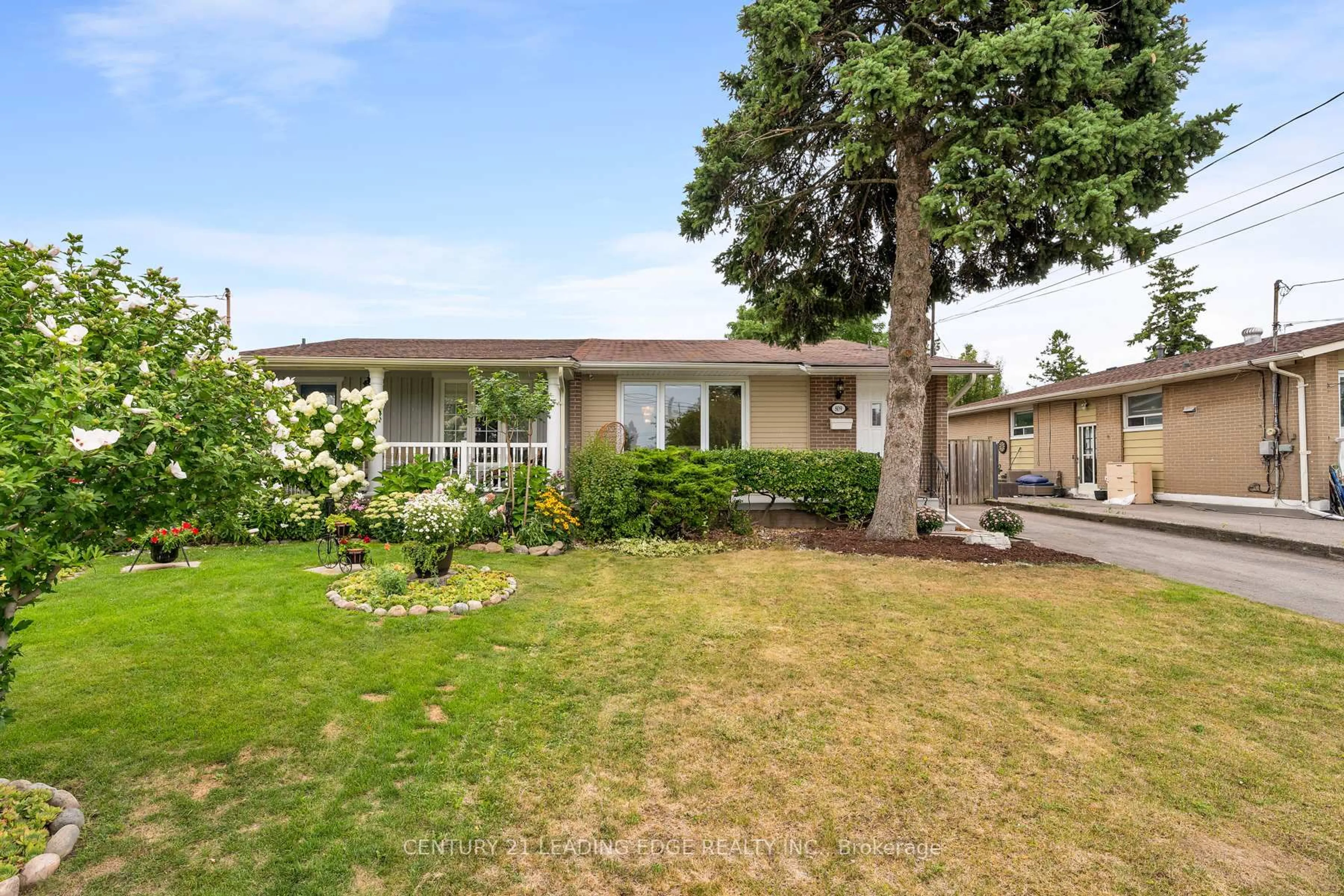 Home with vinyl exterior material, street for 809 Sanok Dr, Pickering Ontario L1W 2R1