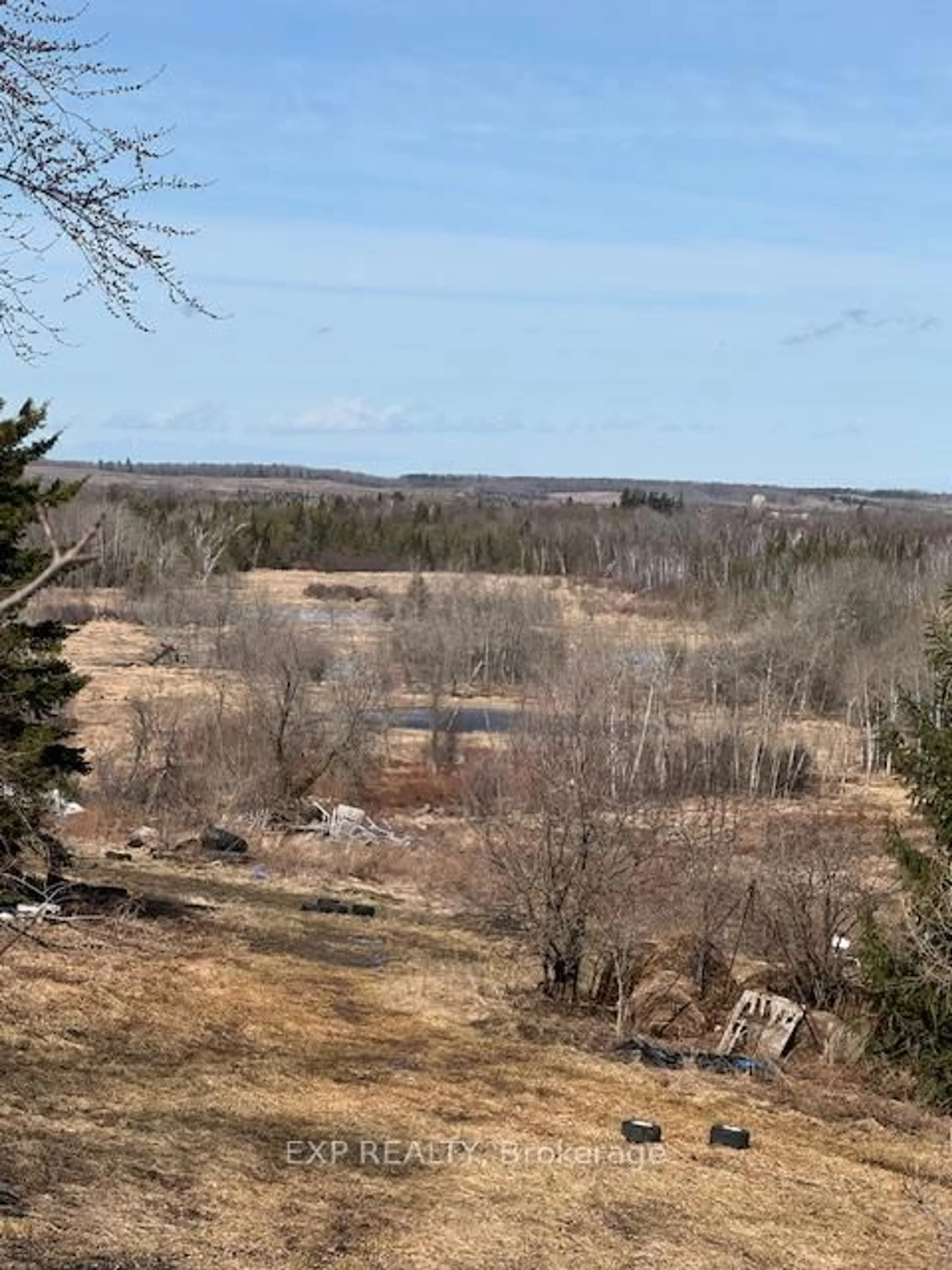 A pic from outside/outdoor area/front of a property/back of a property/a pic from drone, forest/trees view for 1071 Scugog 14 Line, Scugog Ontario L0C 1H0