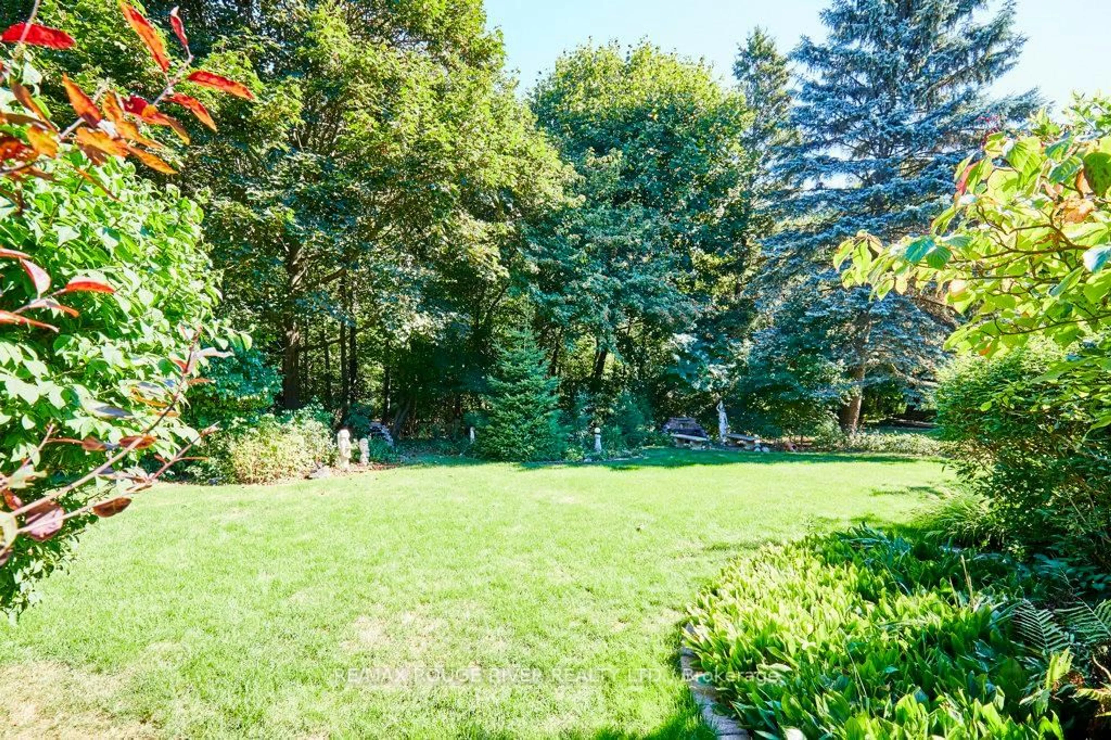 Patio, forest/trees view for 14 Karen Ann Cres, Toronto Ontario M1G 1M3
