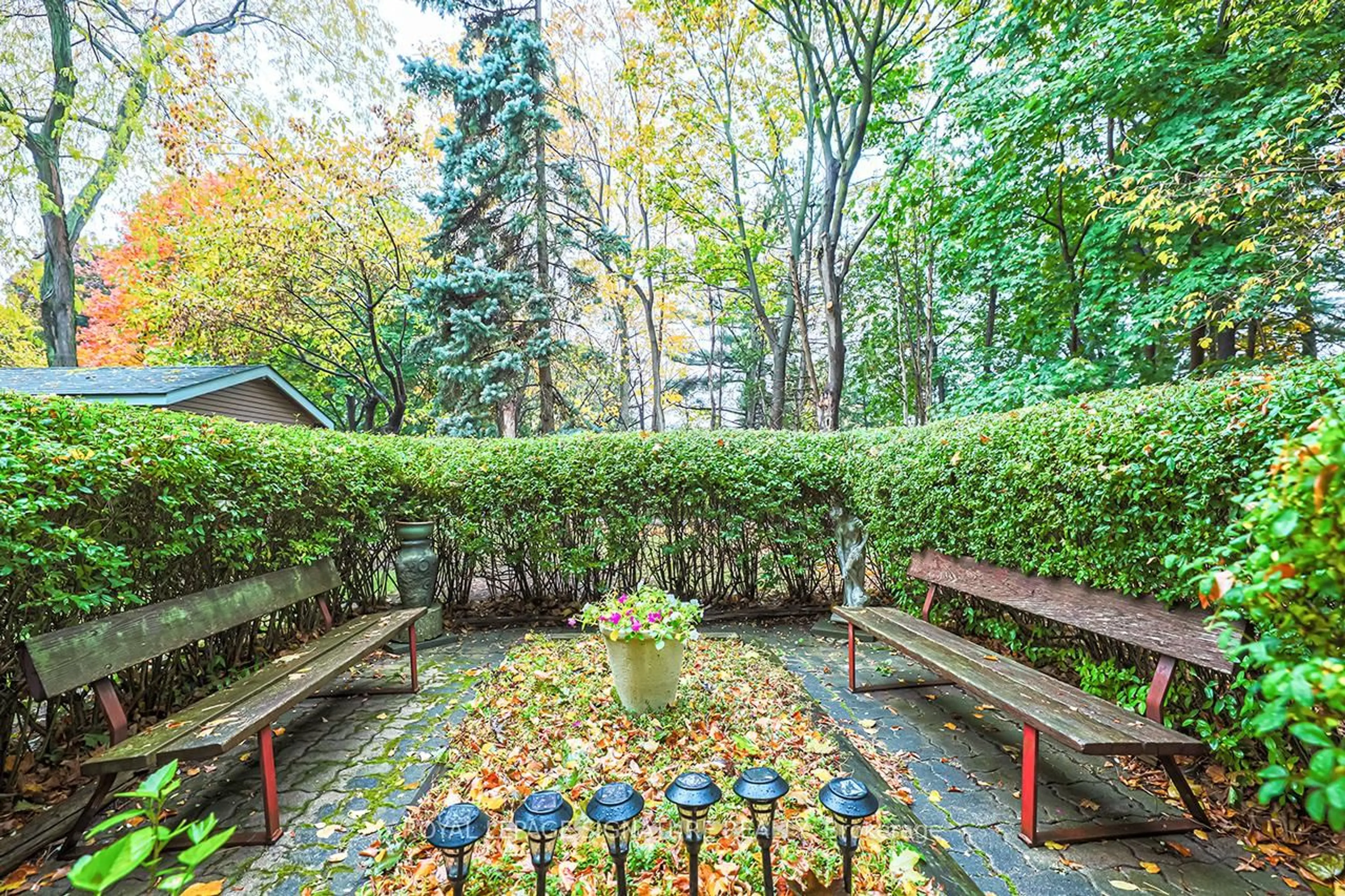 Patio, forest/trees view for 50 Old Kingston Rd #4203, Toronto Ontario M1E 4Y1