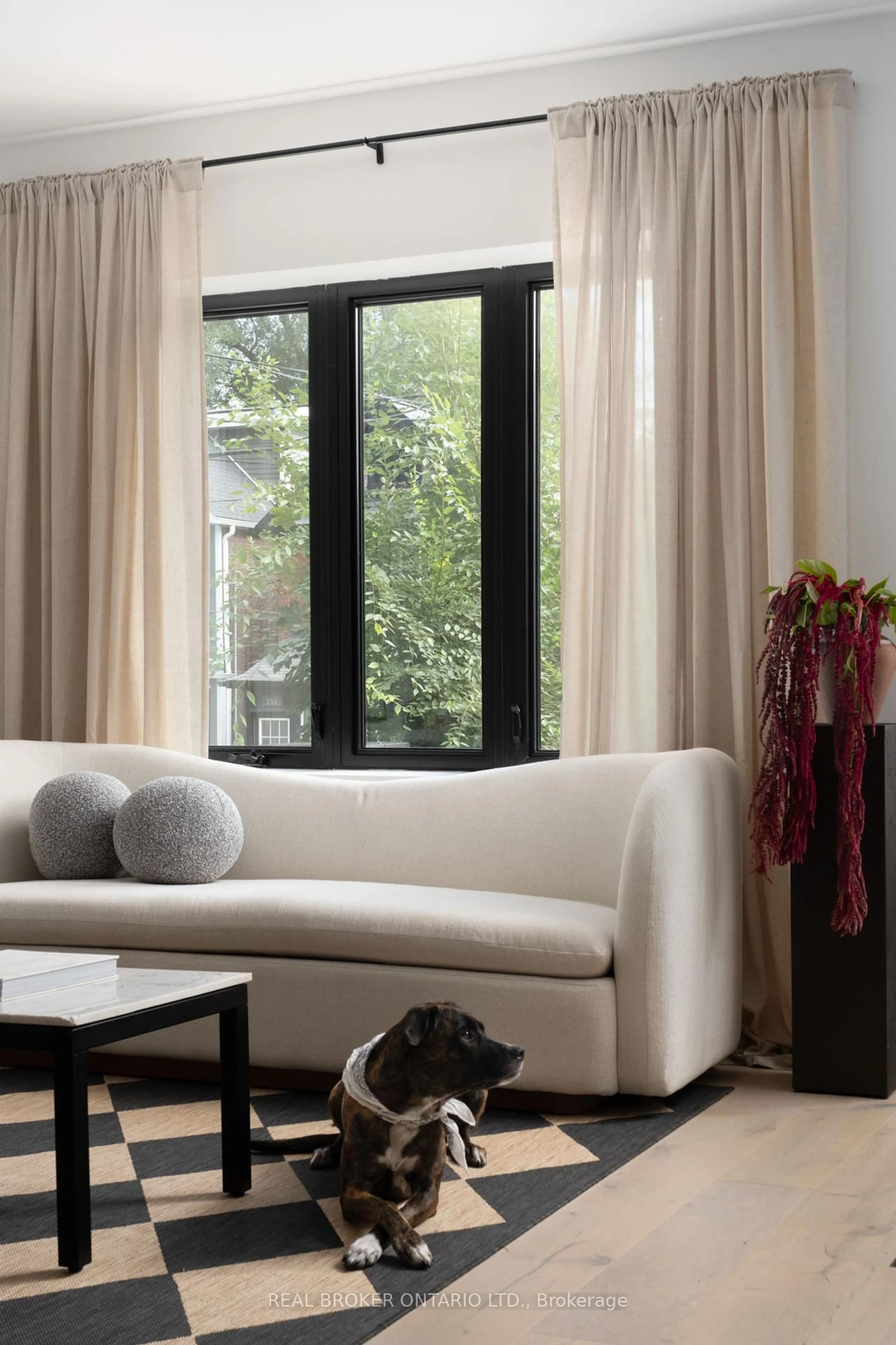 Living room with furniture, unknown for 238 Coleridge Ave, Toronto Ontario M4C 4J1
