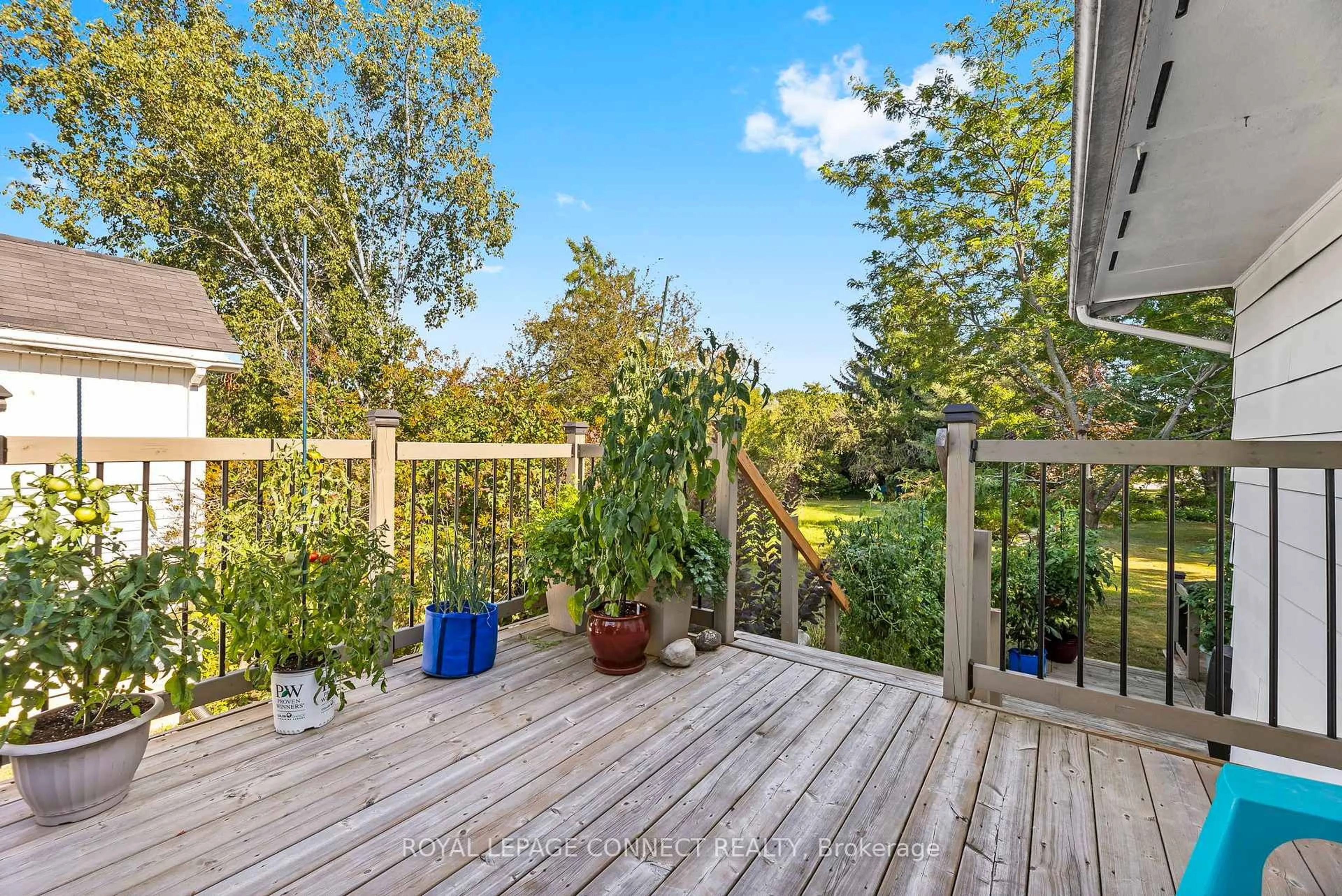 Patio, forest/trees view for 35 Lawson Rd, Clarington Ontario L1E 2K3