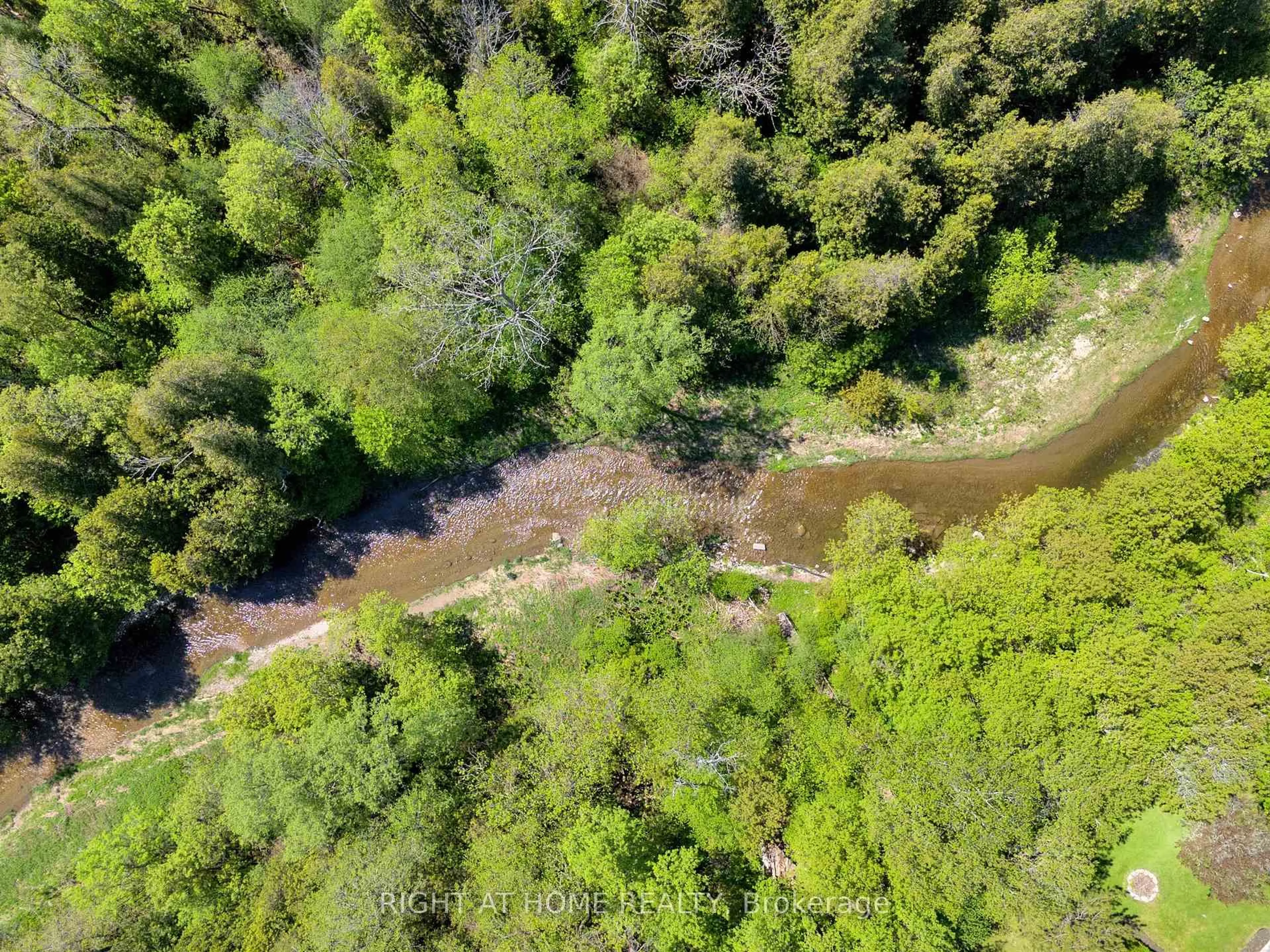 A pic from outside/outdoor area/front of a property/back of a property/a pic from drone, forest/trees view for 3634 Old Scugog Rd, Clarington Ontario L1C 4J2