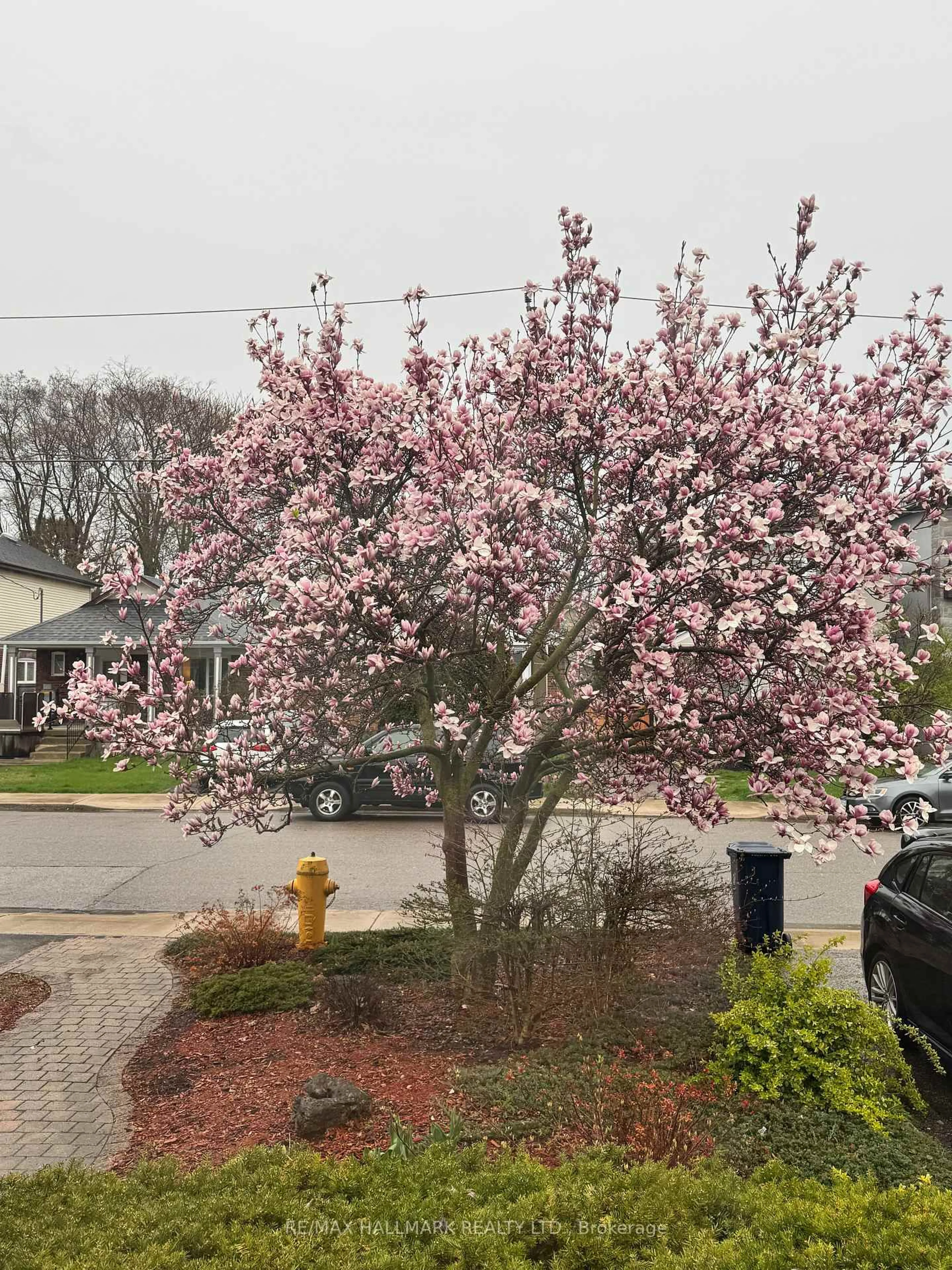 Unknown for 6 Athlone Rd, Toronto Ontario M4J 4H2
