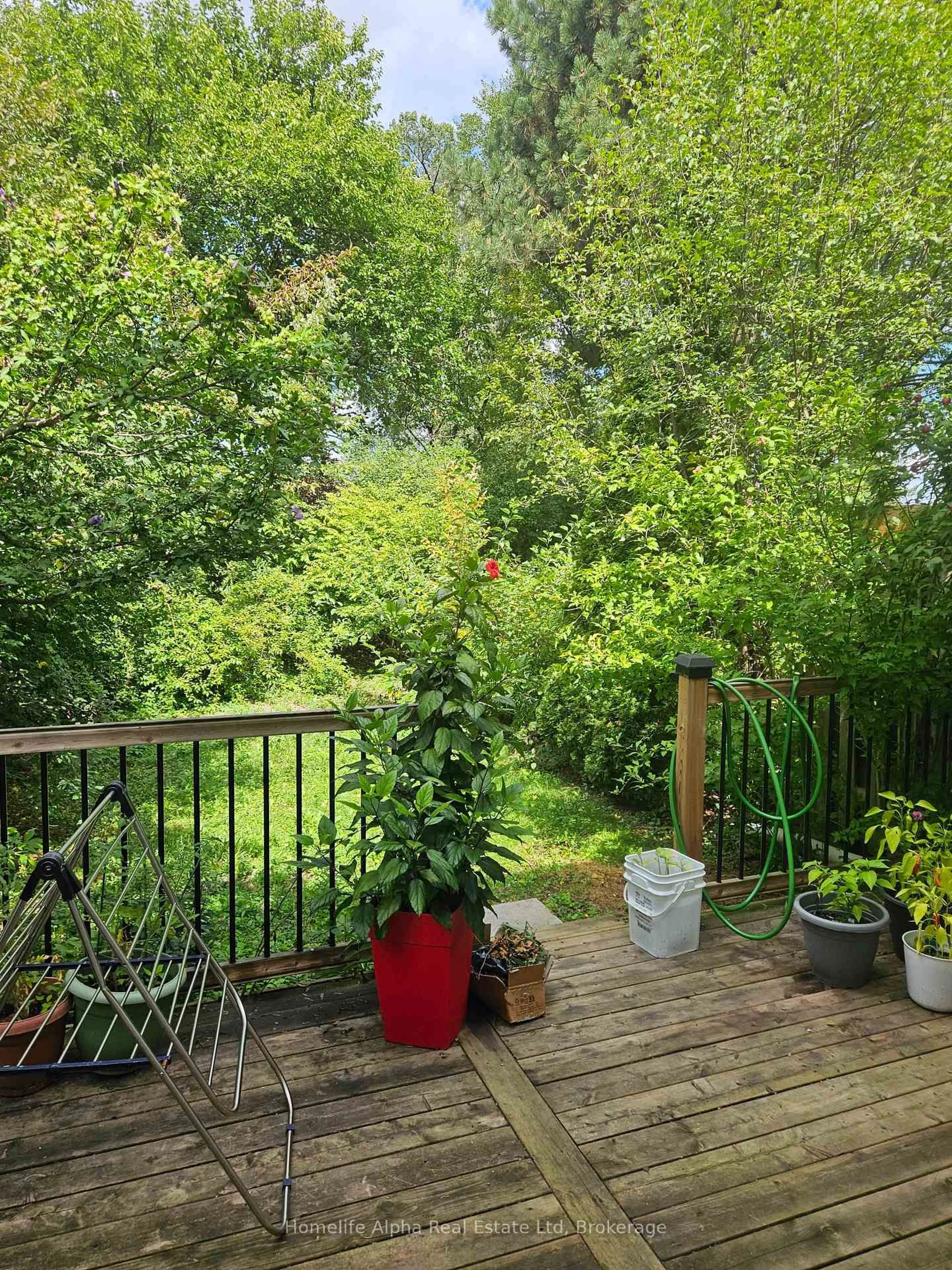 Patio, forest/trees view for 3003 Bridletowne Circ, Toronto Ontario M1W 2C9
