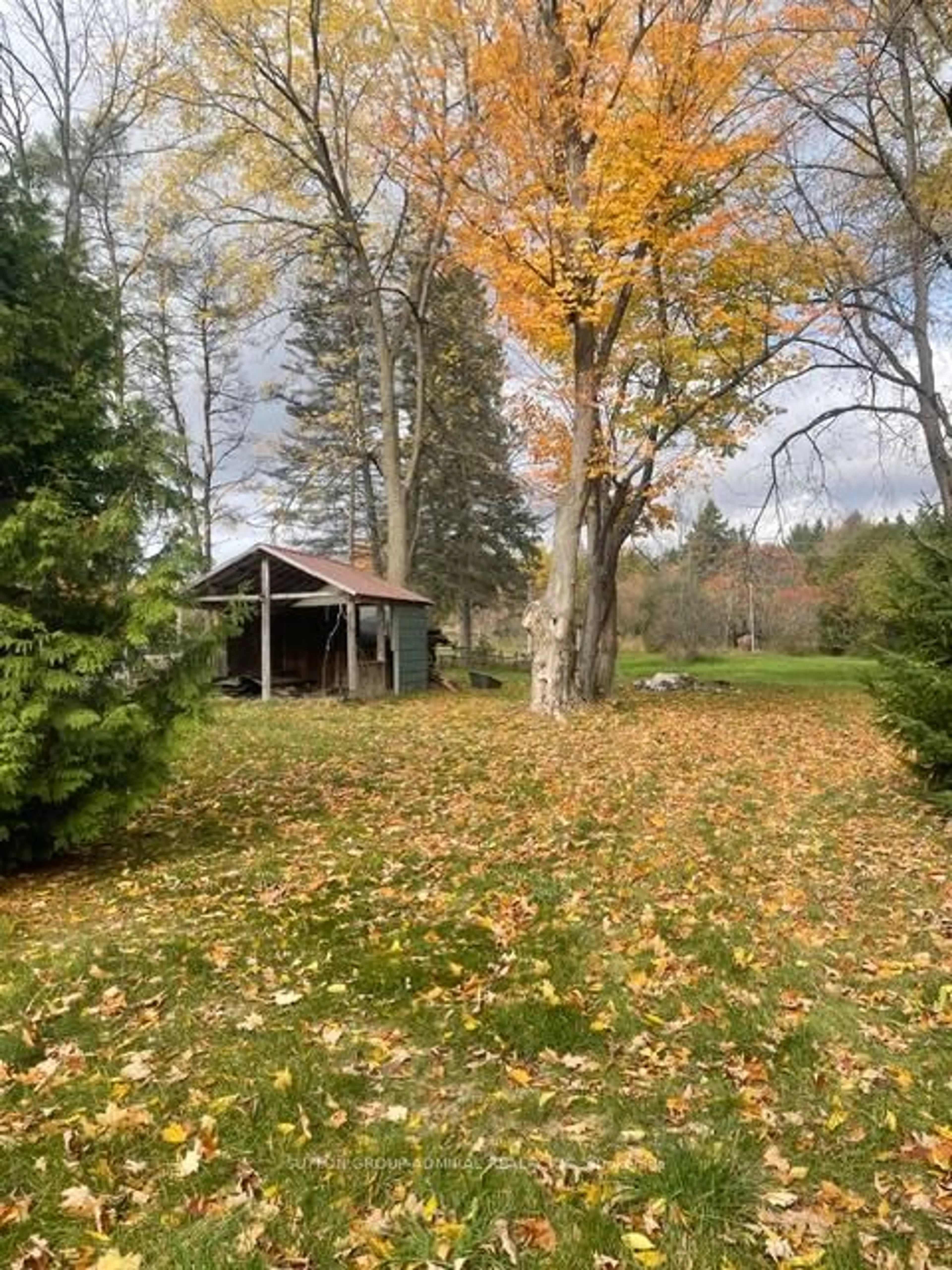 Shed for 7574 White Rd, Clarington Ontario L0A 1E0