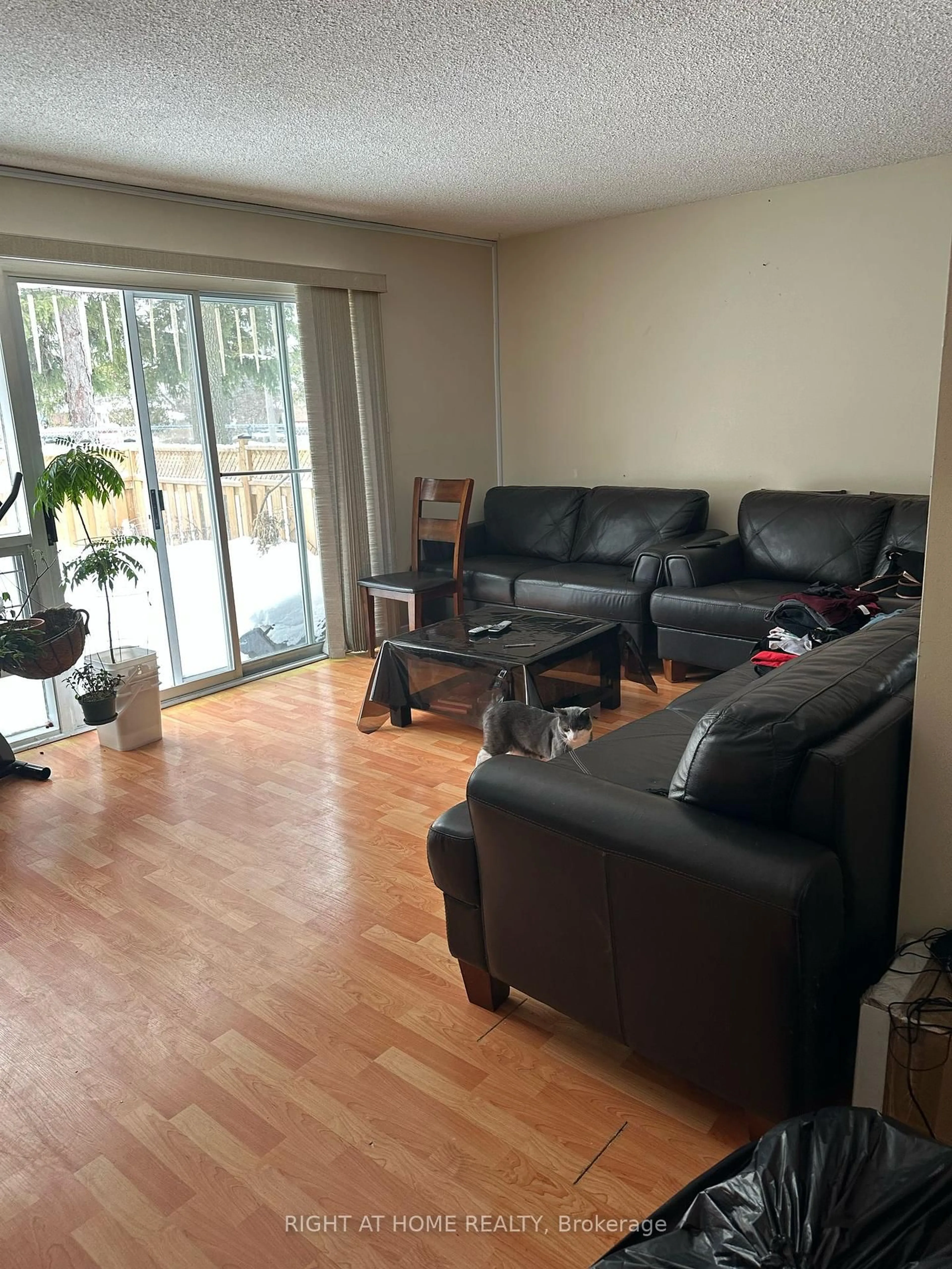 Living room with furniture, wood/laminate floor for 3409 st.clair Ave #1, Toronto Ontario M1L 1W3