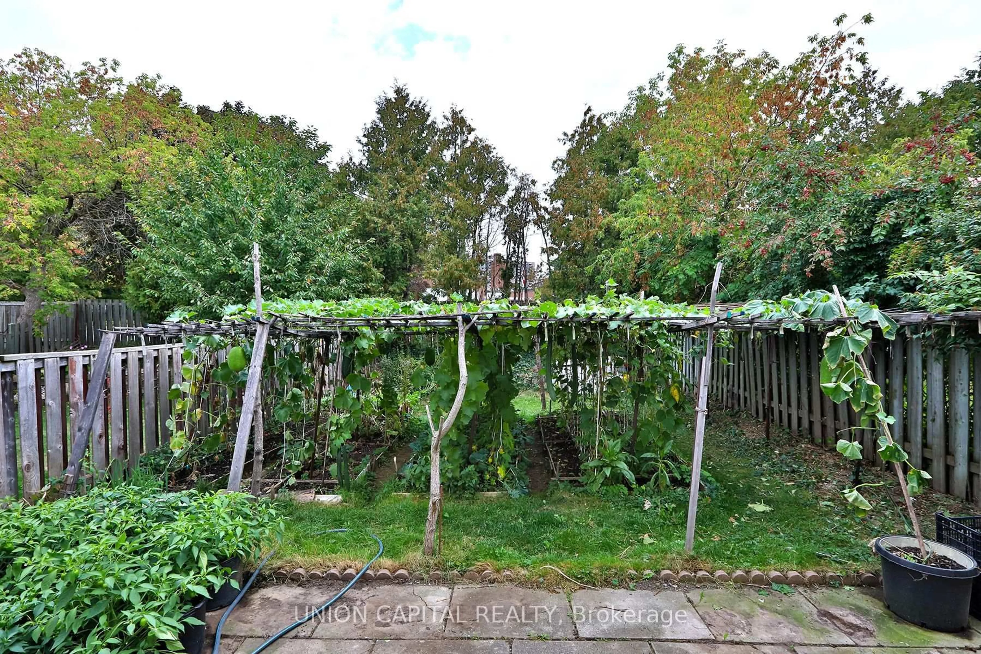 Patio, forest/trees view for 72 Bushmills Sq, Toronto Ontario M1V 1J4