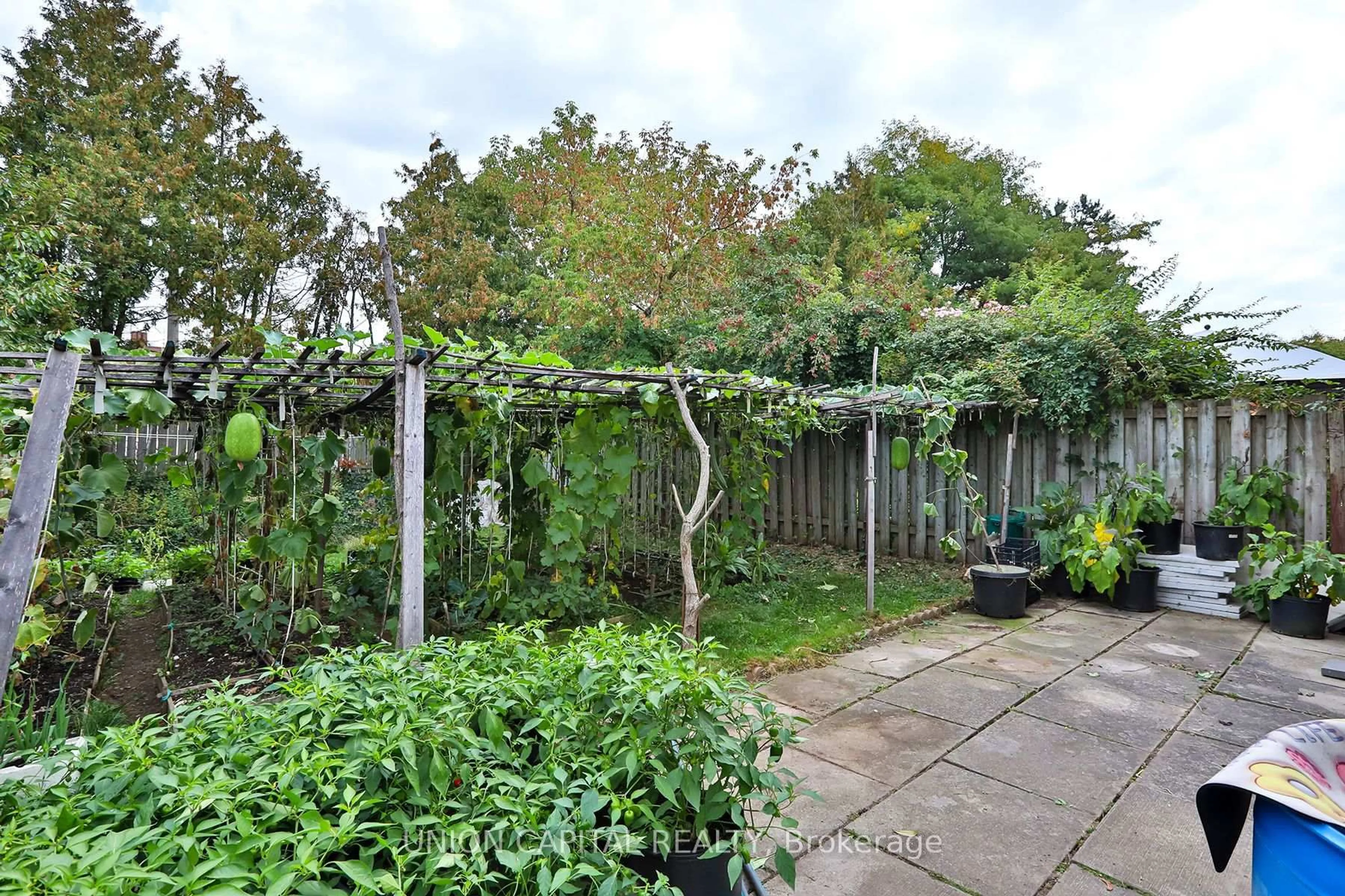 Patio, forest/trees view for 72 Bushmills Sq, Toronto Ontario M1V 1J4