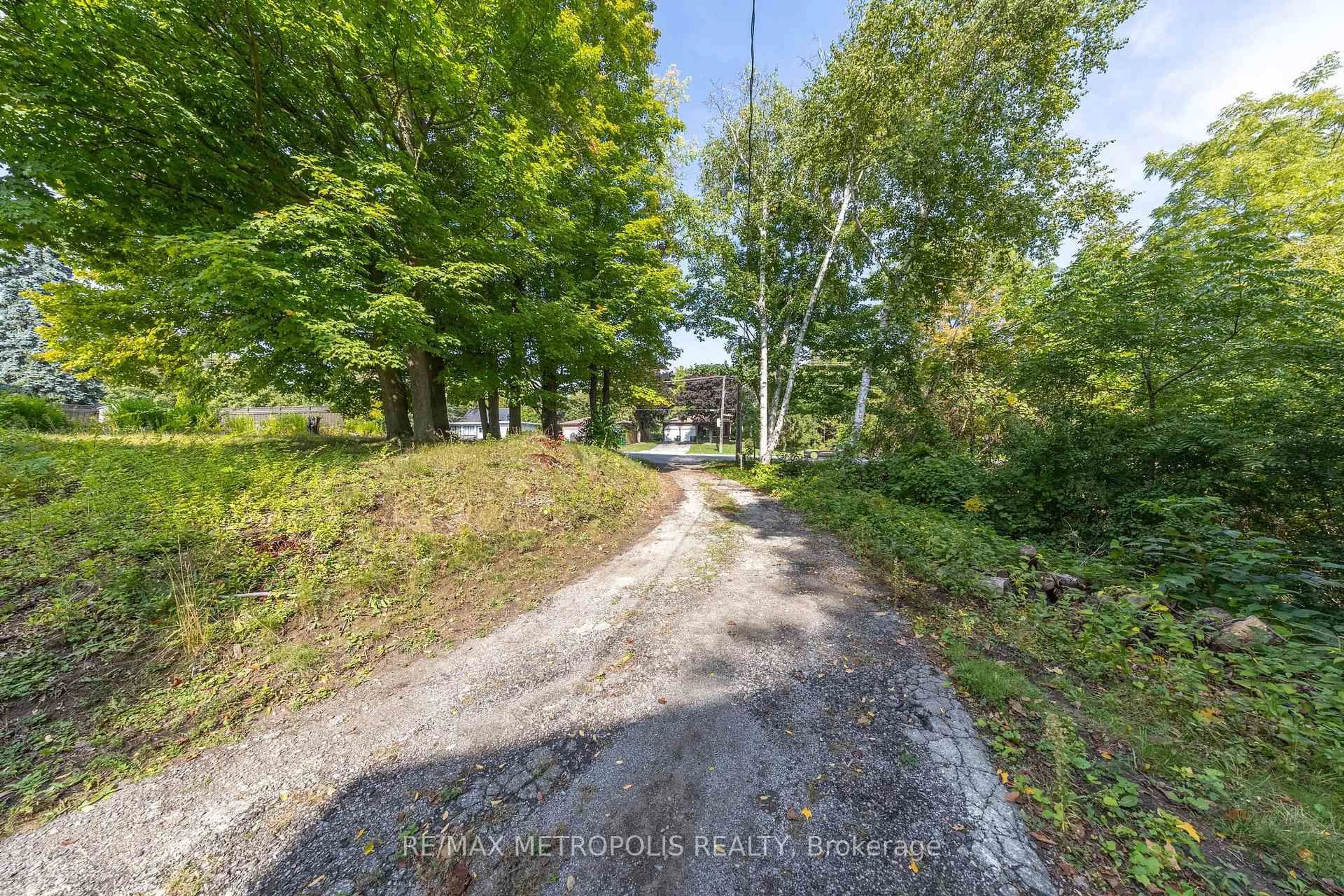 A pic from outside/outdoor area/front of a property/back of a property/a pic from drone, forest/trees view for 5297 Lawrence Ave, Toronto Ontario M1C 1R5