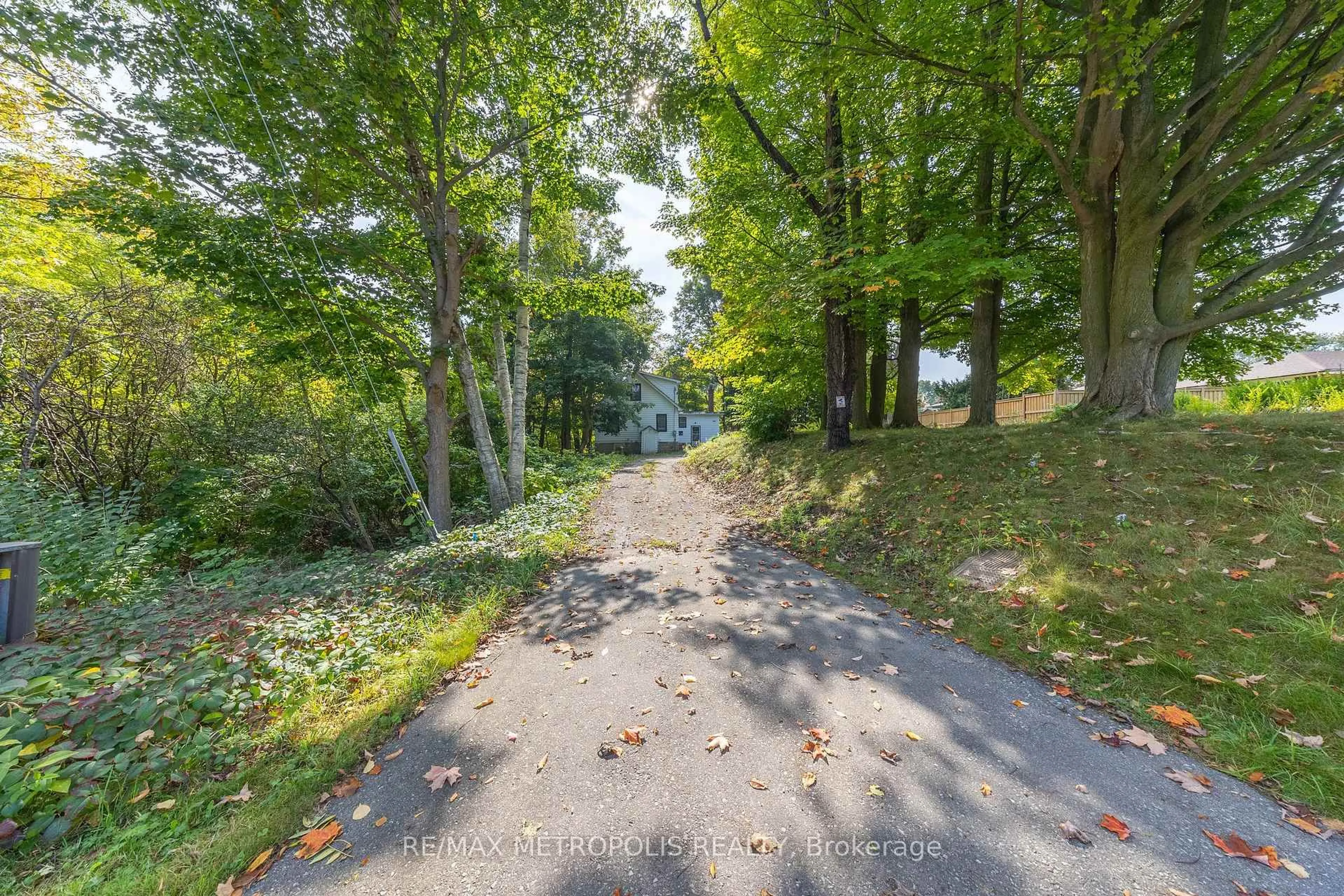 A pic from outside/outdoor area/front of a property/back of a property/a pic from drone, forest/trees view for 5297 Lawrence Ave, Toronto Ontario M1C 1R5