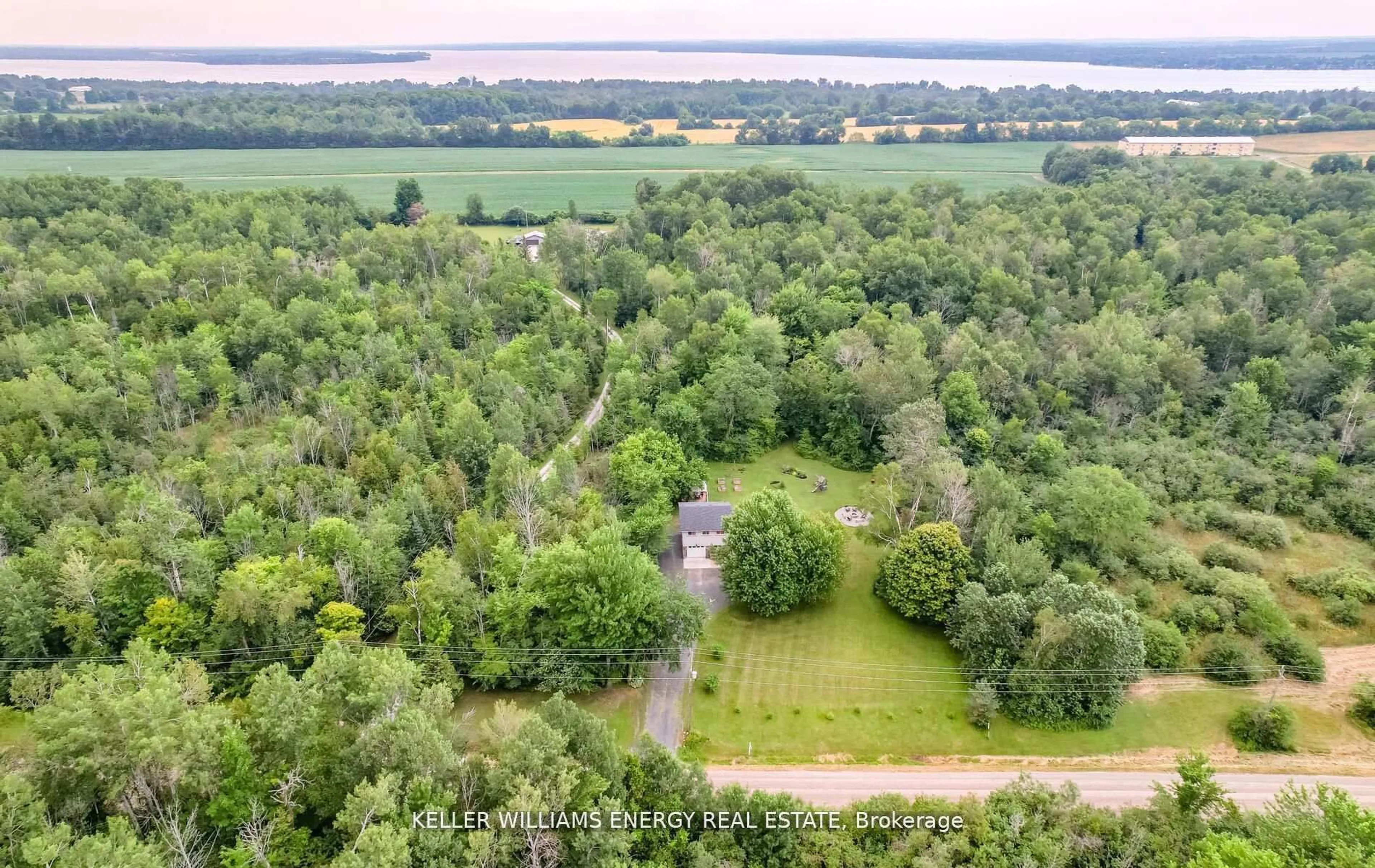 A pic from outside/outdoor area/front of a property/back of a property/a pic from drone, forest/trees view for 19375 Mississaugas Tr, Scugog Ontario L9L 1B6