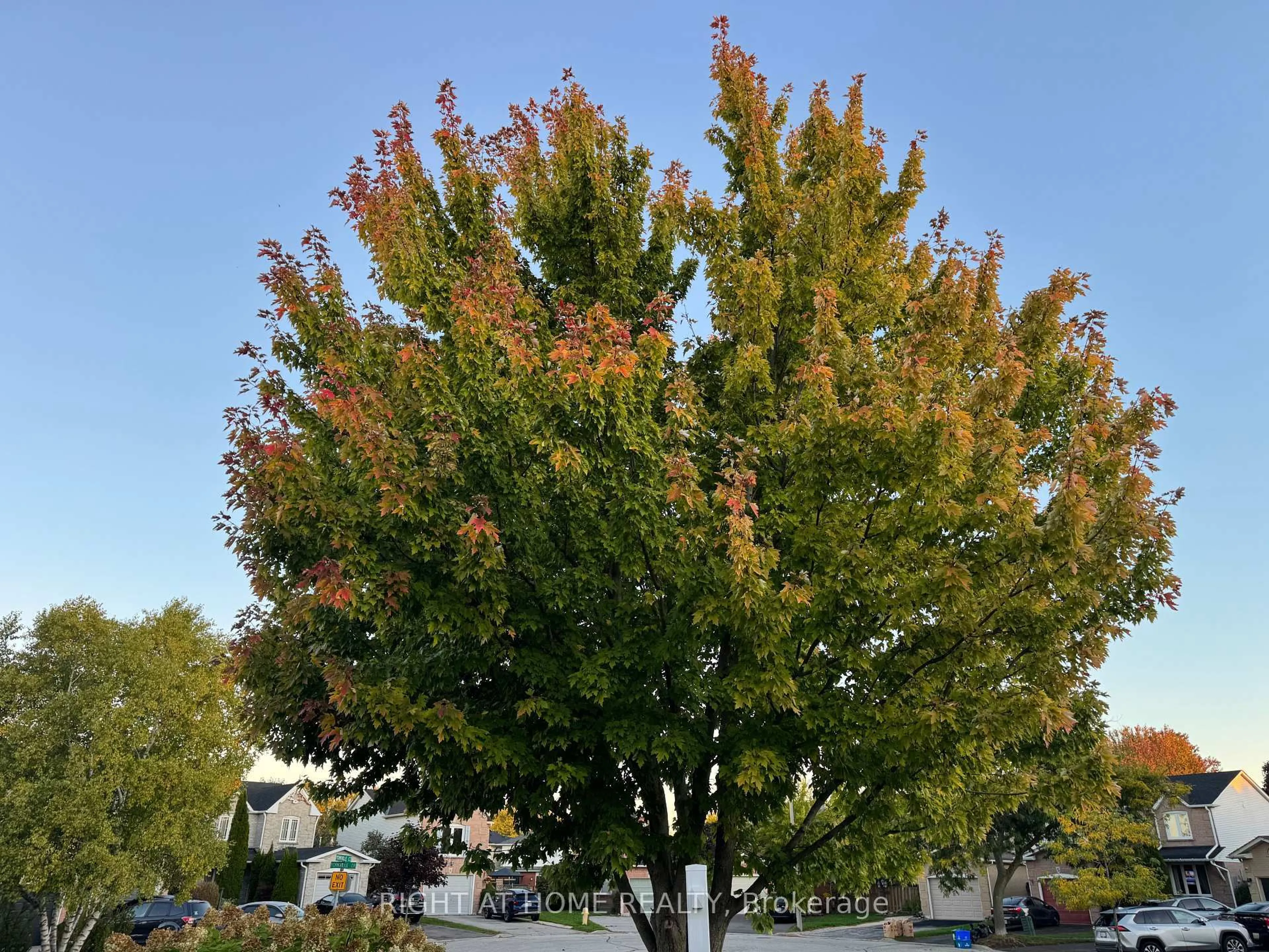 Blurry image for 41 Yorkville Dr, Clarington Ontario L1E 2A7