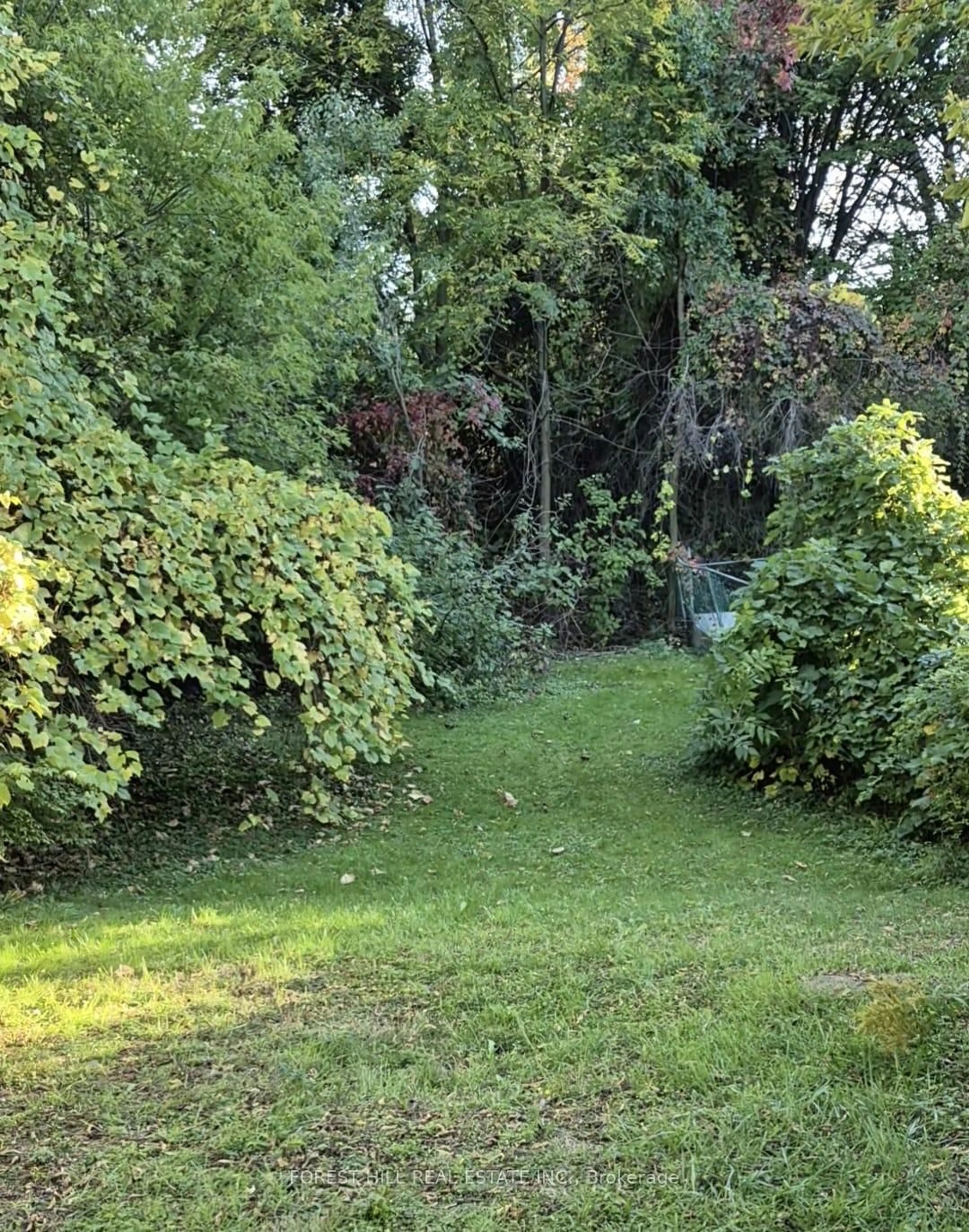 A pic from outside/outdoor area/front of a property/back of a property/a pic from drone, forest/trees view for 65 Darlingside Dr, Toronto Ontario M1E 3P2