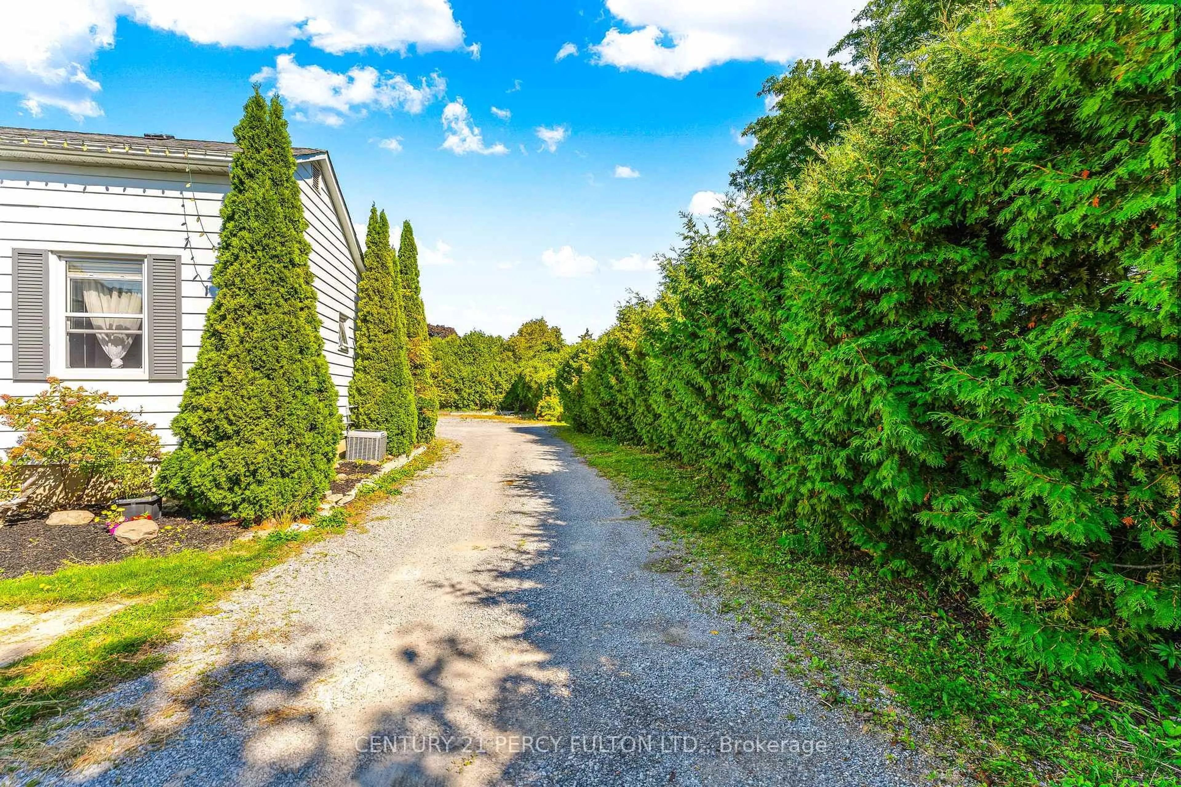 A pic from outside/outdoor area/front of a property/back of a property/a pic from drone, forest/trees view for 117 Scugog St, Clarington Ontario L1C 3J3