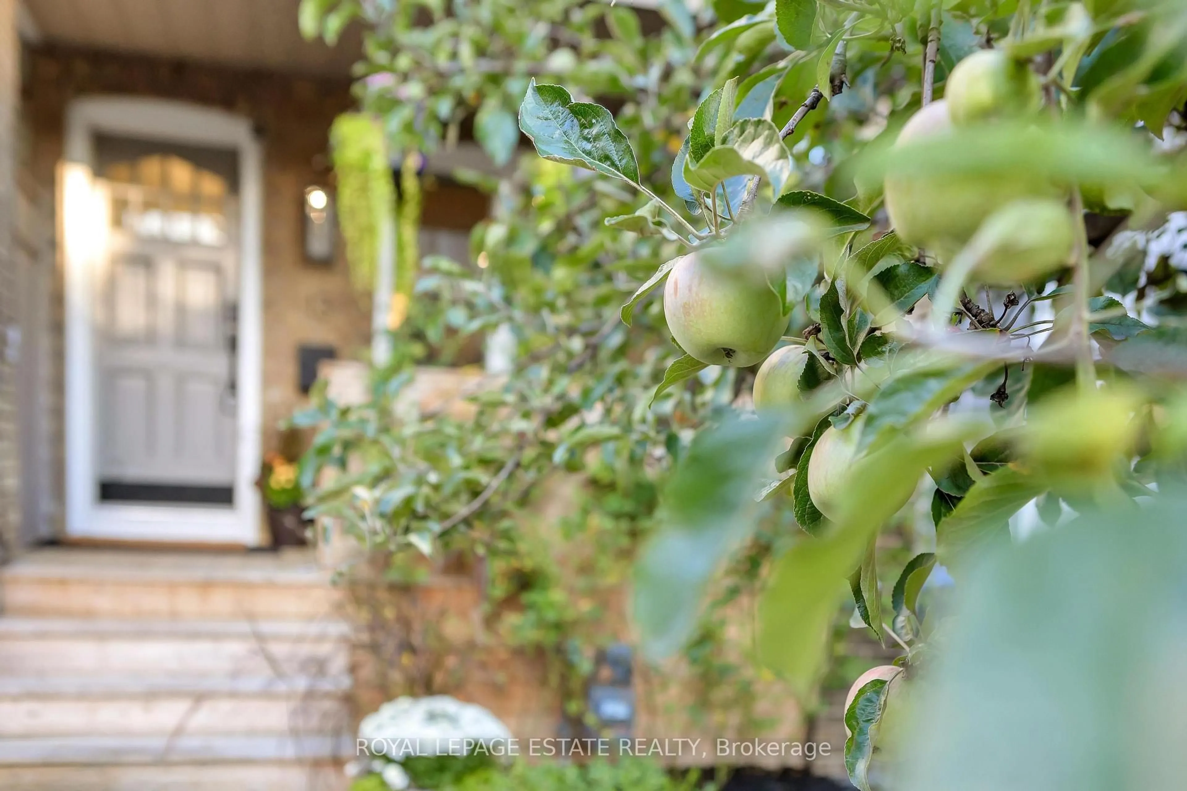 Unknown for 13 Eastdale Ave, Toronto Ontario M4C 4Z8