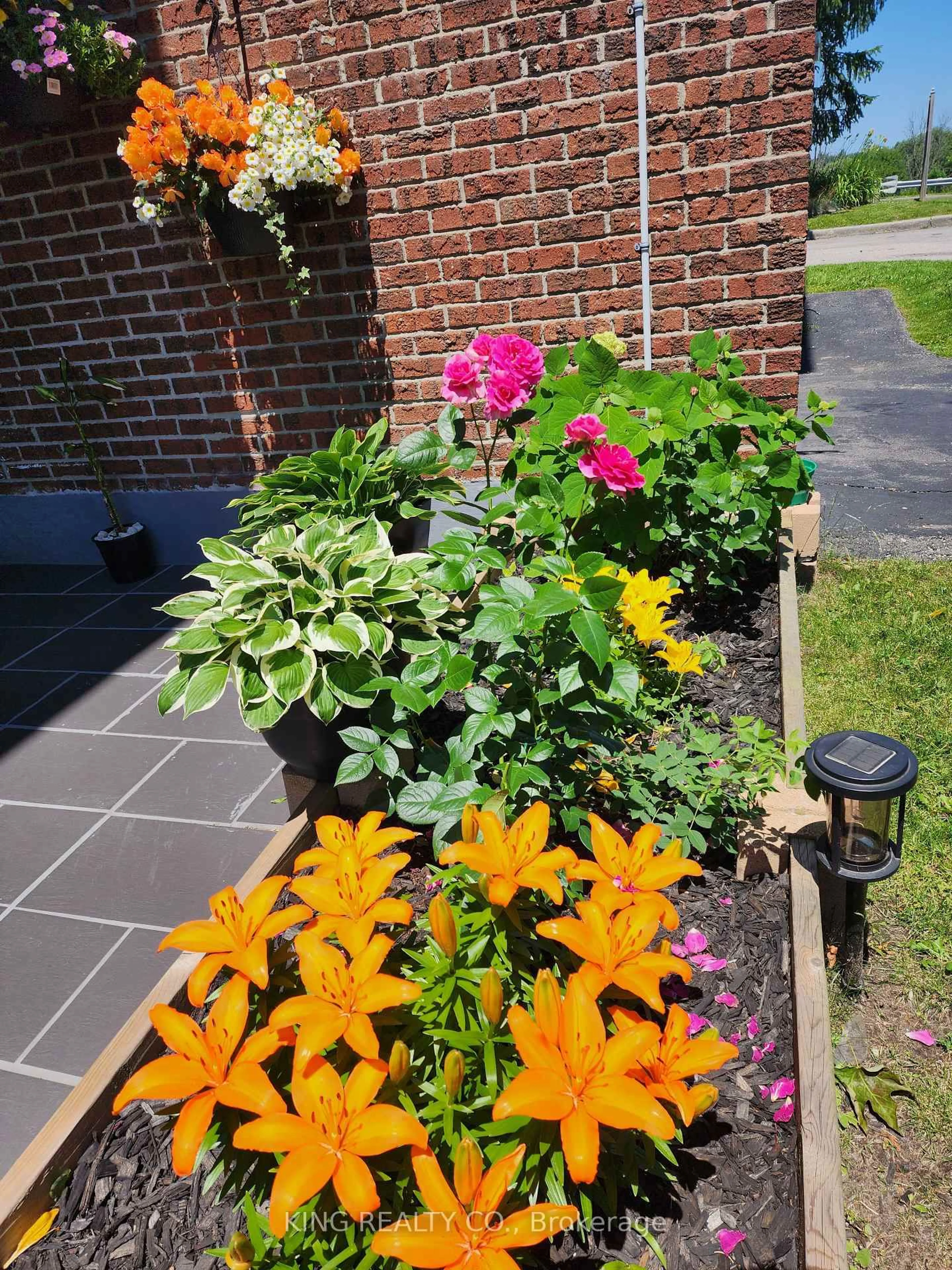 A pic from outside/outdoor area/front of a property/back of a property/a pic from drone, street for 909 King St #2, Oshawa Ontario L1J 2L4