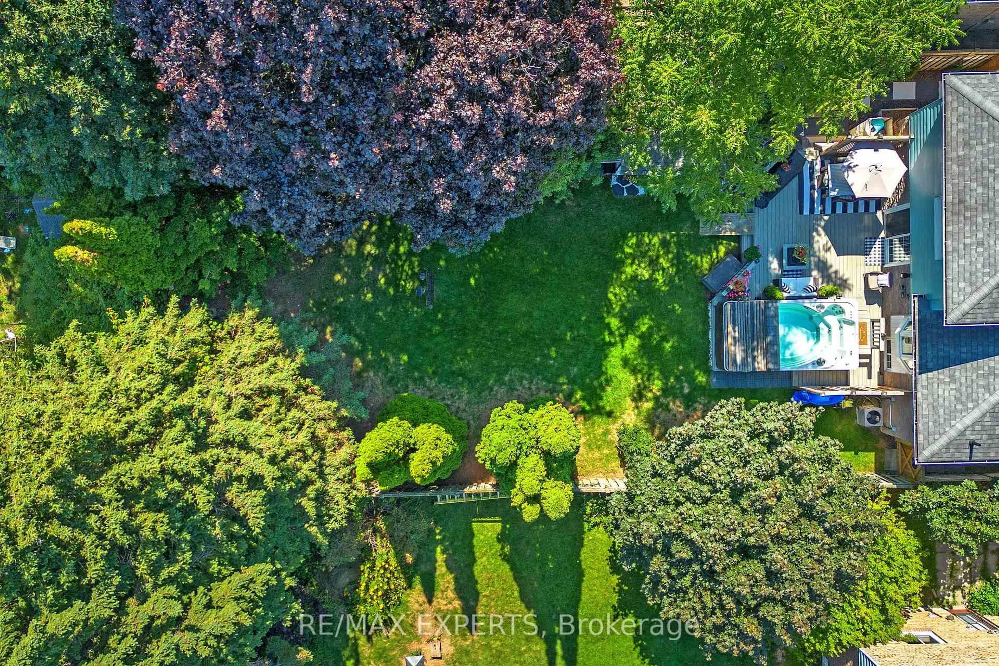 A pic from outside/outdoor area/front of a property/back of a property/a pic from drone, forest/trees view for 57 Pepper Tree Dr, Toronto Ontario M1C 1Y5