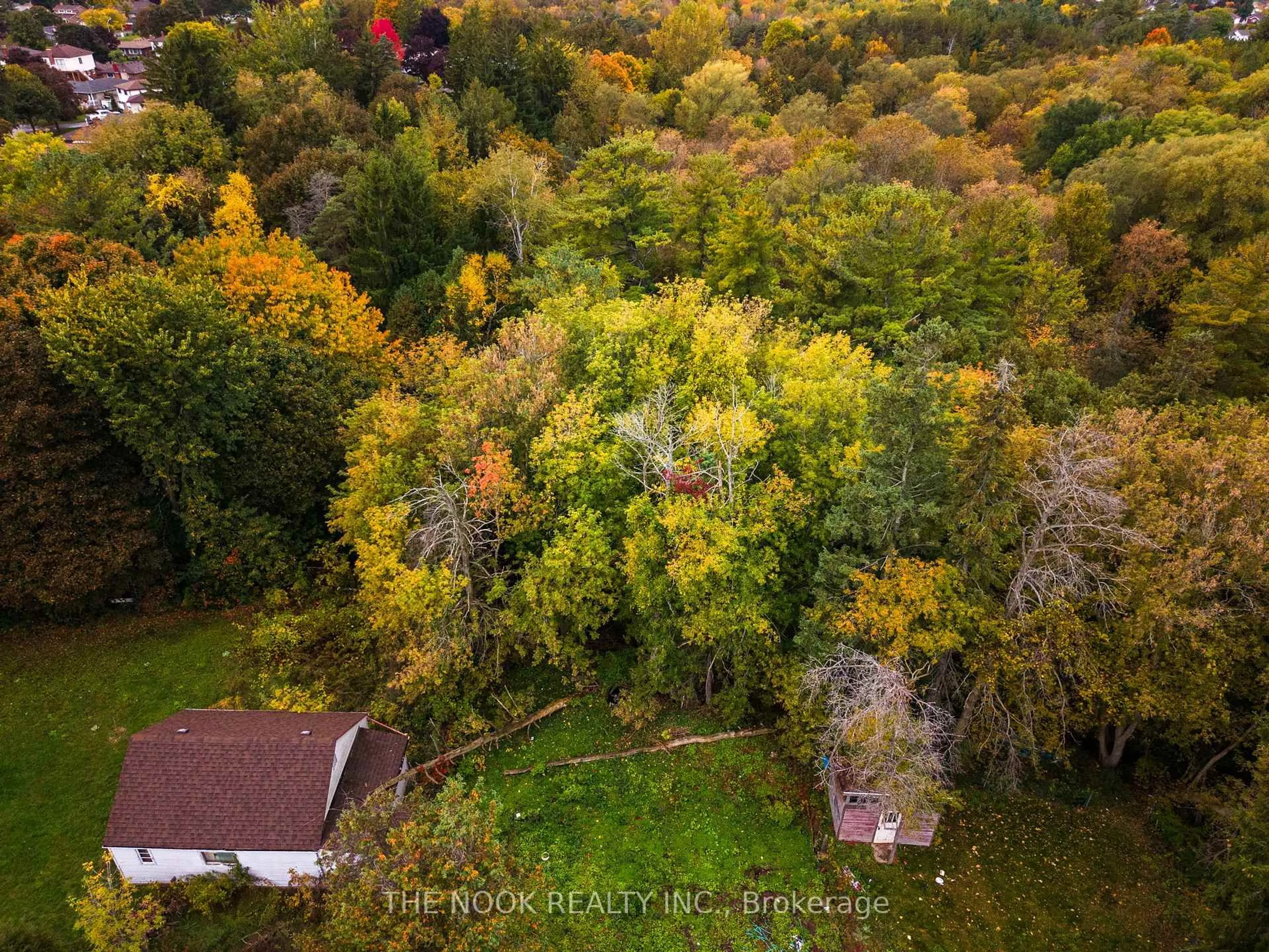 A pic from outside/outdoor area/front of a property/back of a property/a pic from drone, forest/trees view for 1496 Simcoe St, Oshawa Ontario L1G 4X7