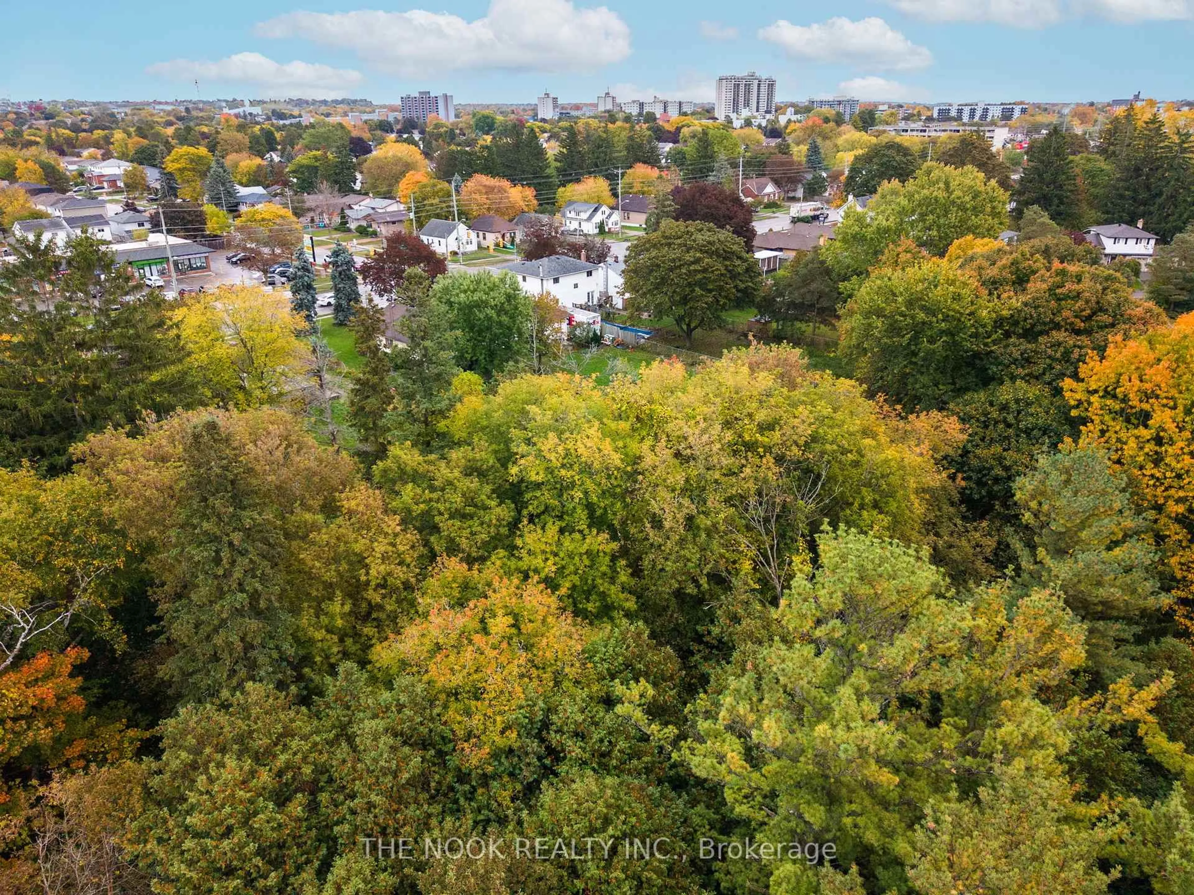 A pic from outside/outdoor area/front of a property/back of a property/a pic from drone, forest/trees view for 1496 Simcoe St, Oshawa Ontario L1G 4X7