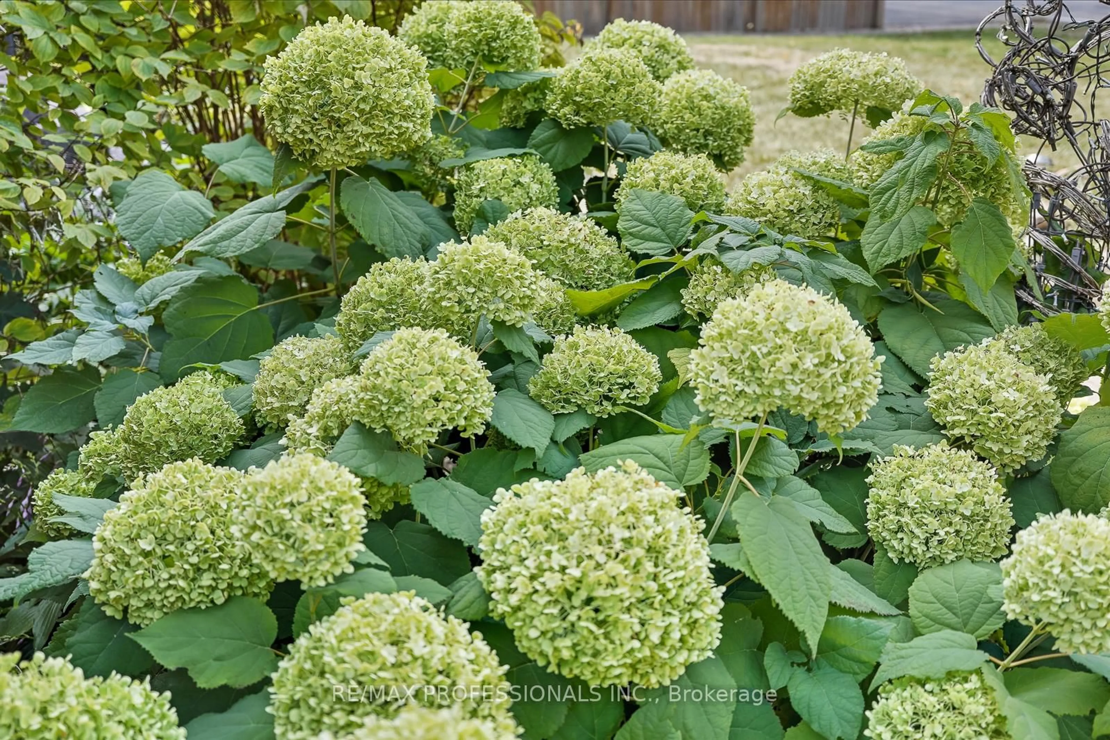 Patio, street for 23 Scotswood Rd, Toronto Ontario M1R 3N3