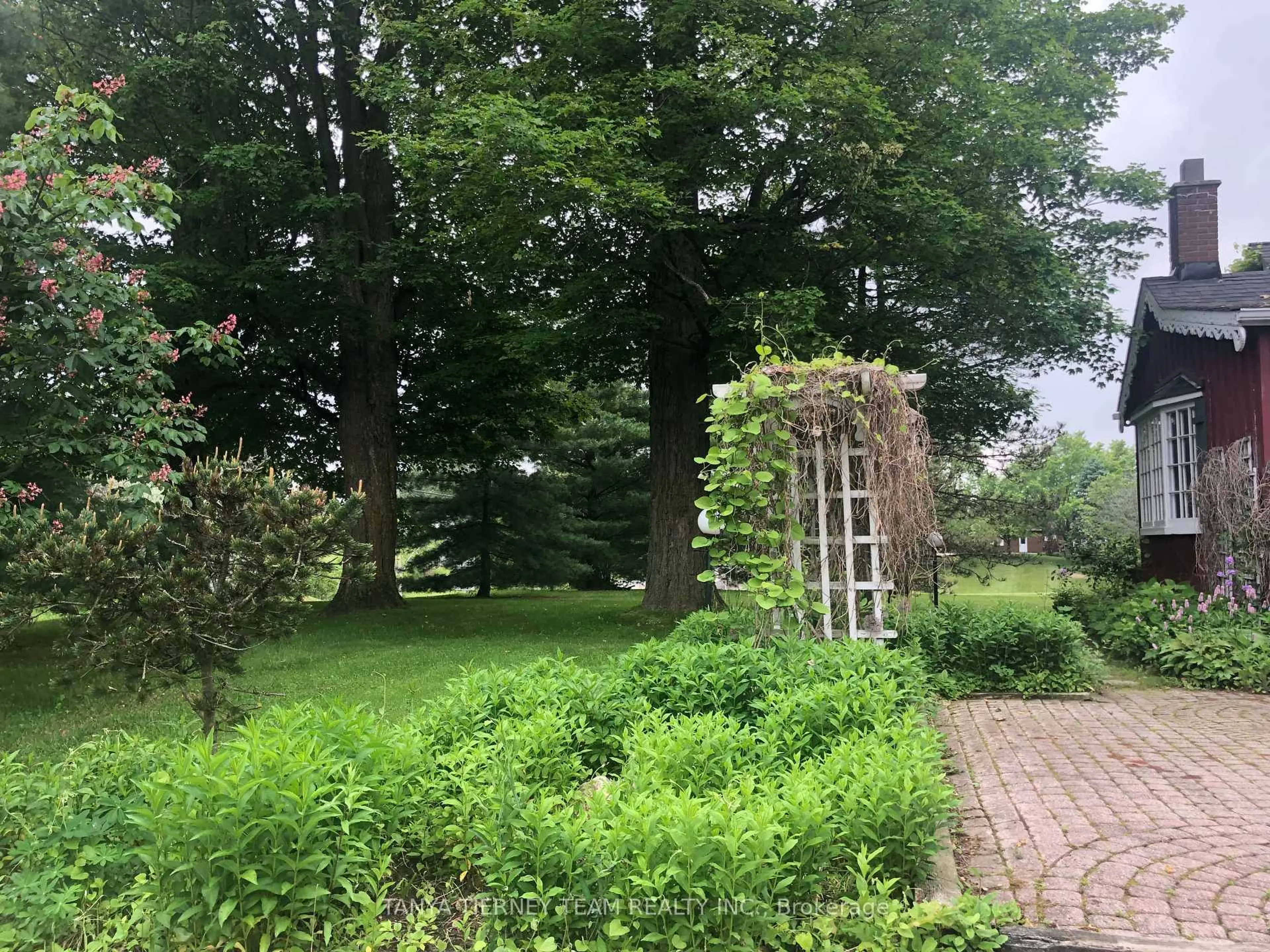 Patio, forest/trees view for 130 Myrtle Rd, Whitby Ontario L0B 1A0