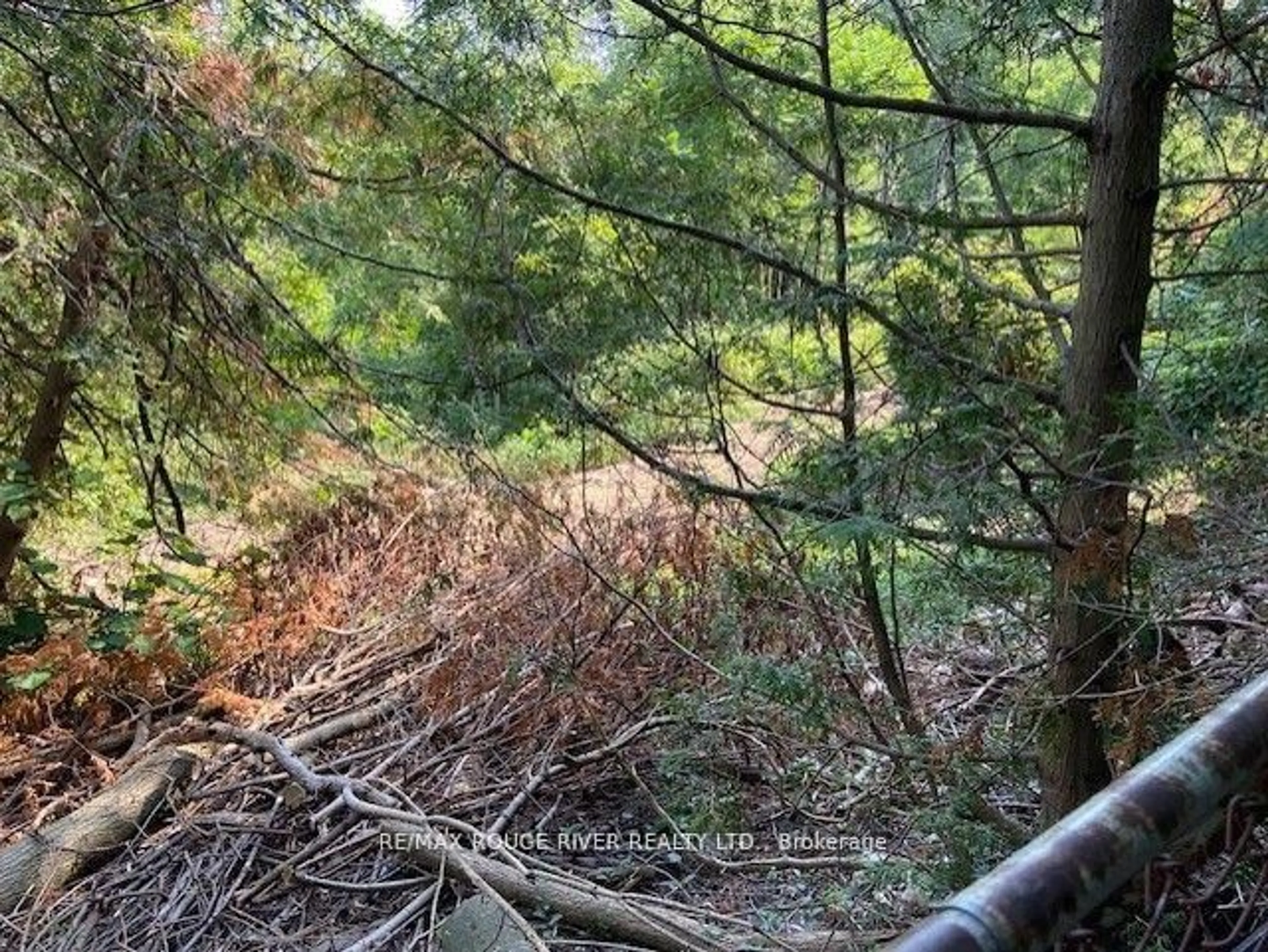 Blurry image for 23 Westlake Cres, Toronto Ontario M4C 2X3