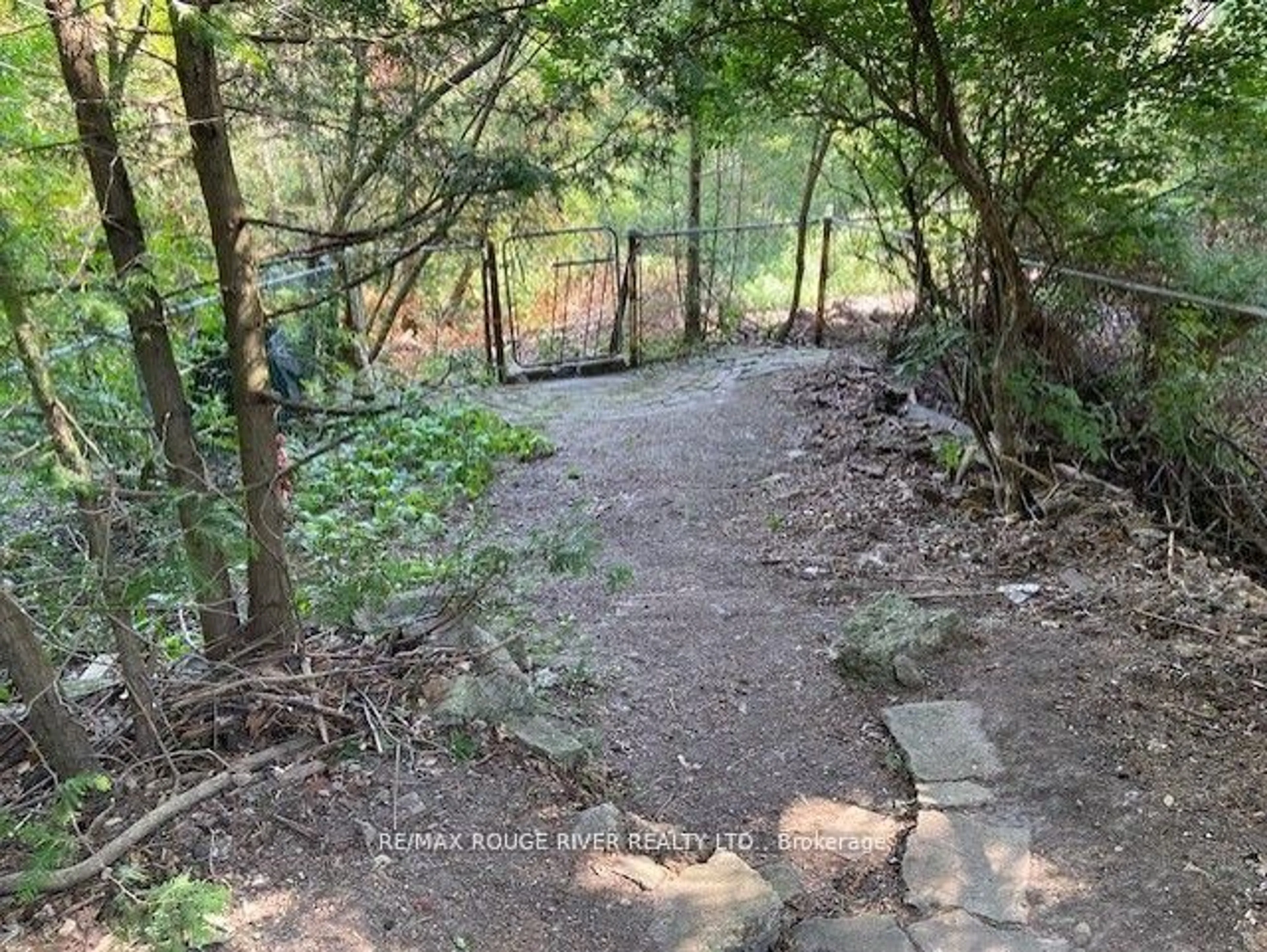 A pic from outside/outdoor area/front of a property/back of a property/a pic from drone, forest/trees view for 23 Westlake Cres, Toronto Ontario M4C 2X3