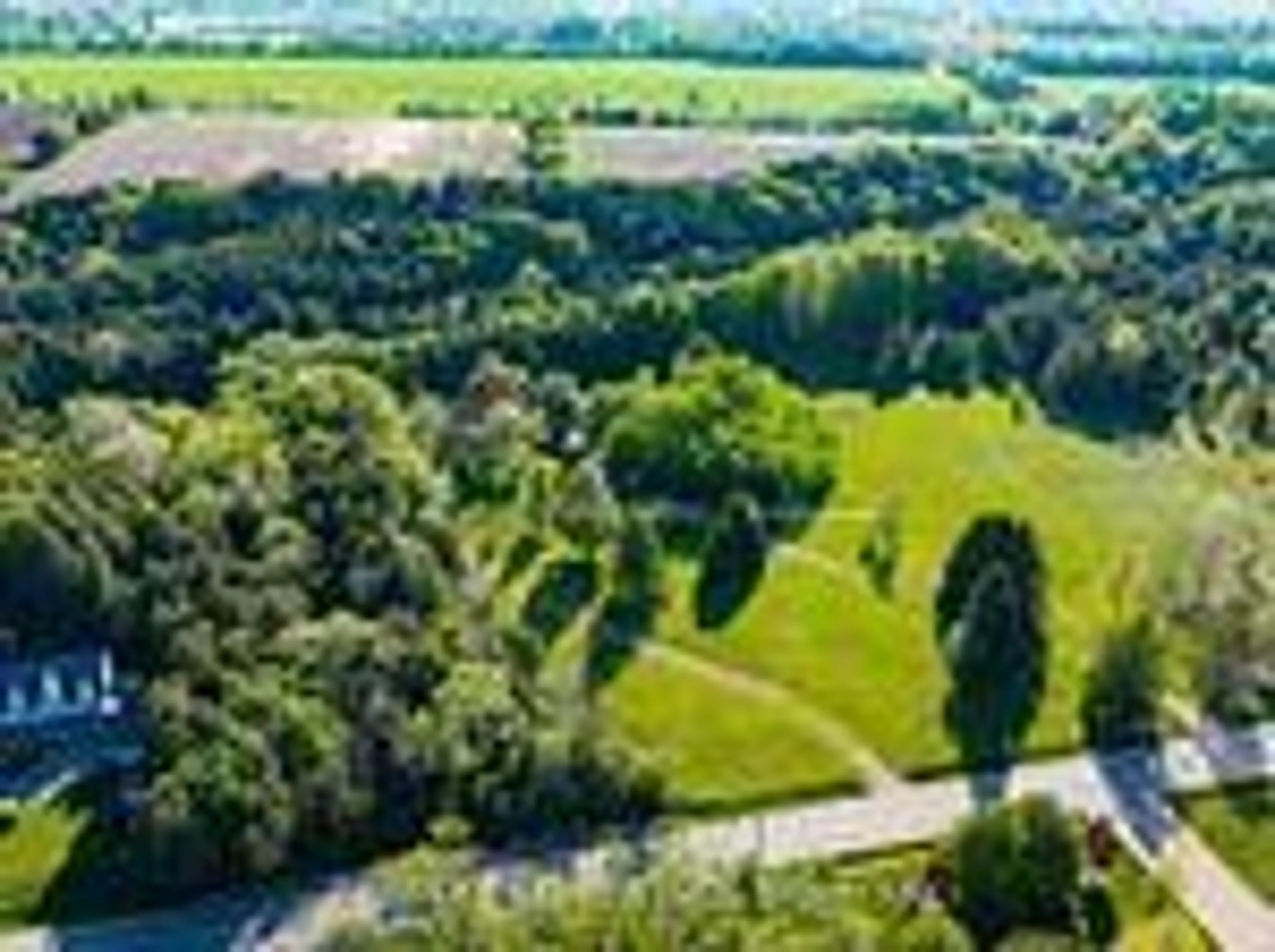 A pic from outside/outdoor area/front of a property/back of a property/a pic from drone, forest/trees view for 3722 Old Scugog Rd, Clarington Ontario L1C 4J2