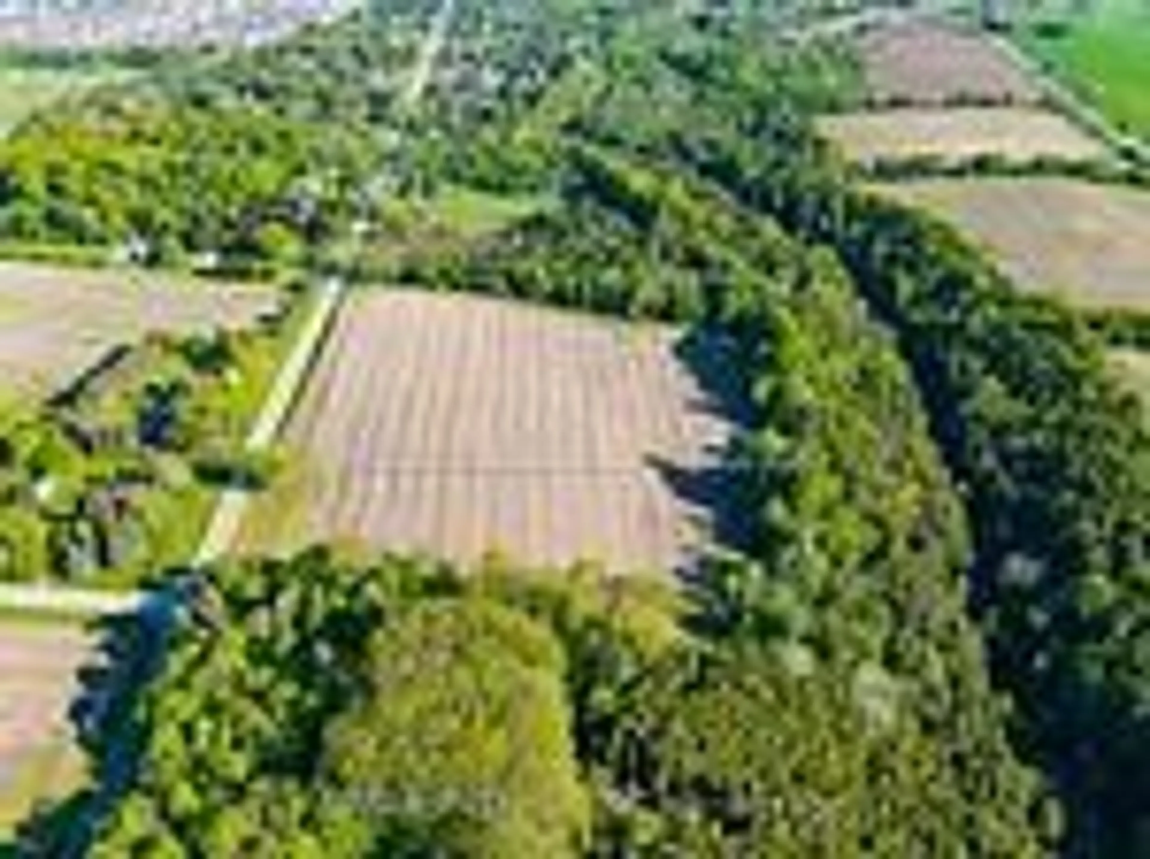 A pic from outside/outdoor area/front of a property/back of a property/a pic from drone, unknown for 3722 Old Scugog Rd, Clarington Ontario L1C 4J2