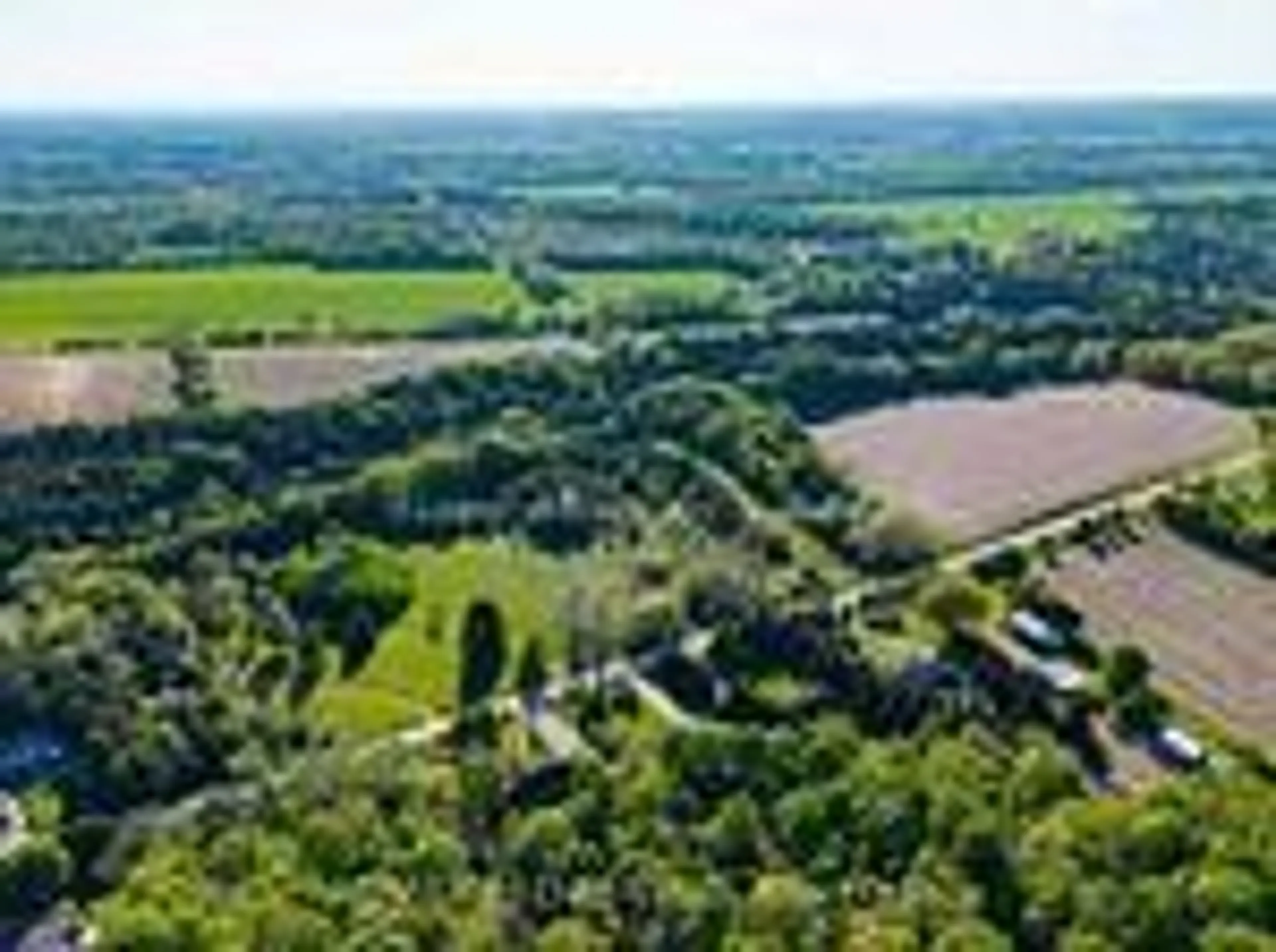 A pic from outside/outdoor area/front of a property/back of a property/a pic from drone, forest/trees view for 3722 Old Scugog Rd, Clarington Ontario L1C 4J2