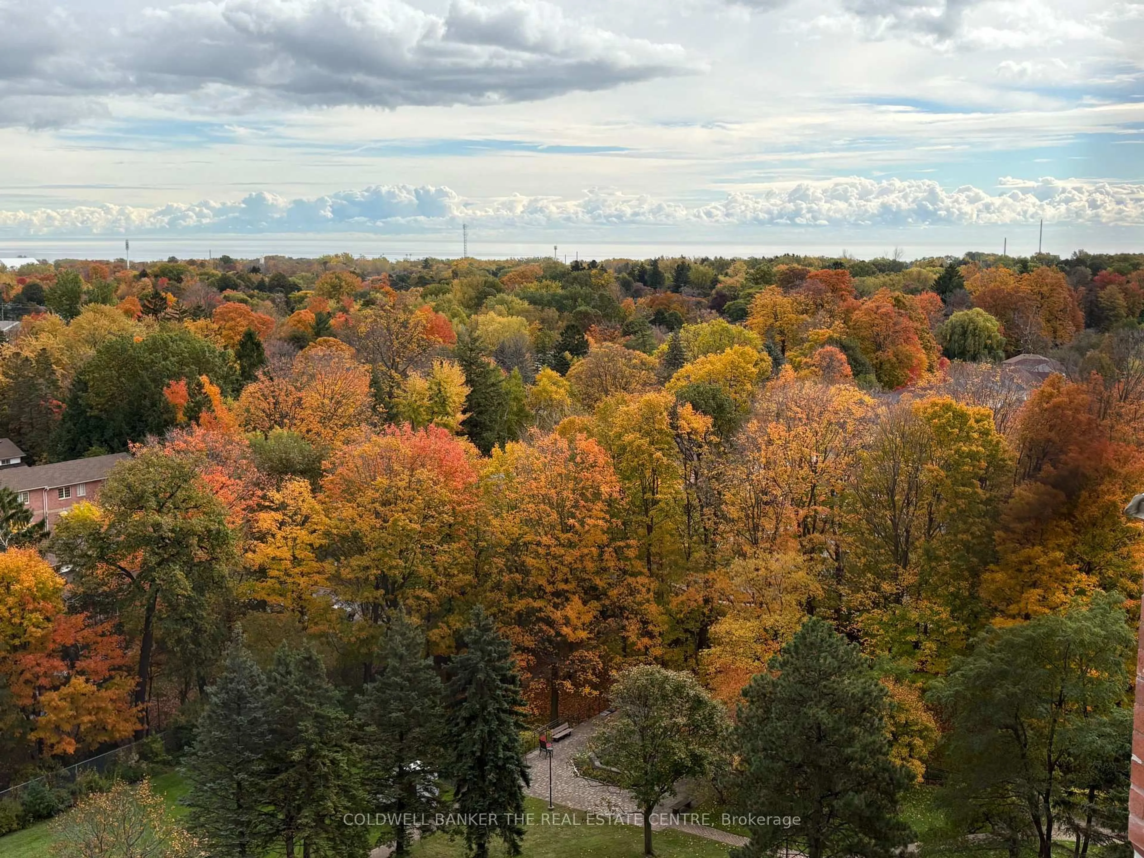 A pic from outside/outdoor area/front of a property/back of a property/a pic from drone, forest/trees view for 121 Ling Rd #1211, Toronto Ontario M1E 4Y2