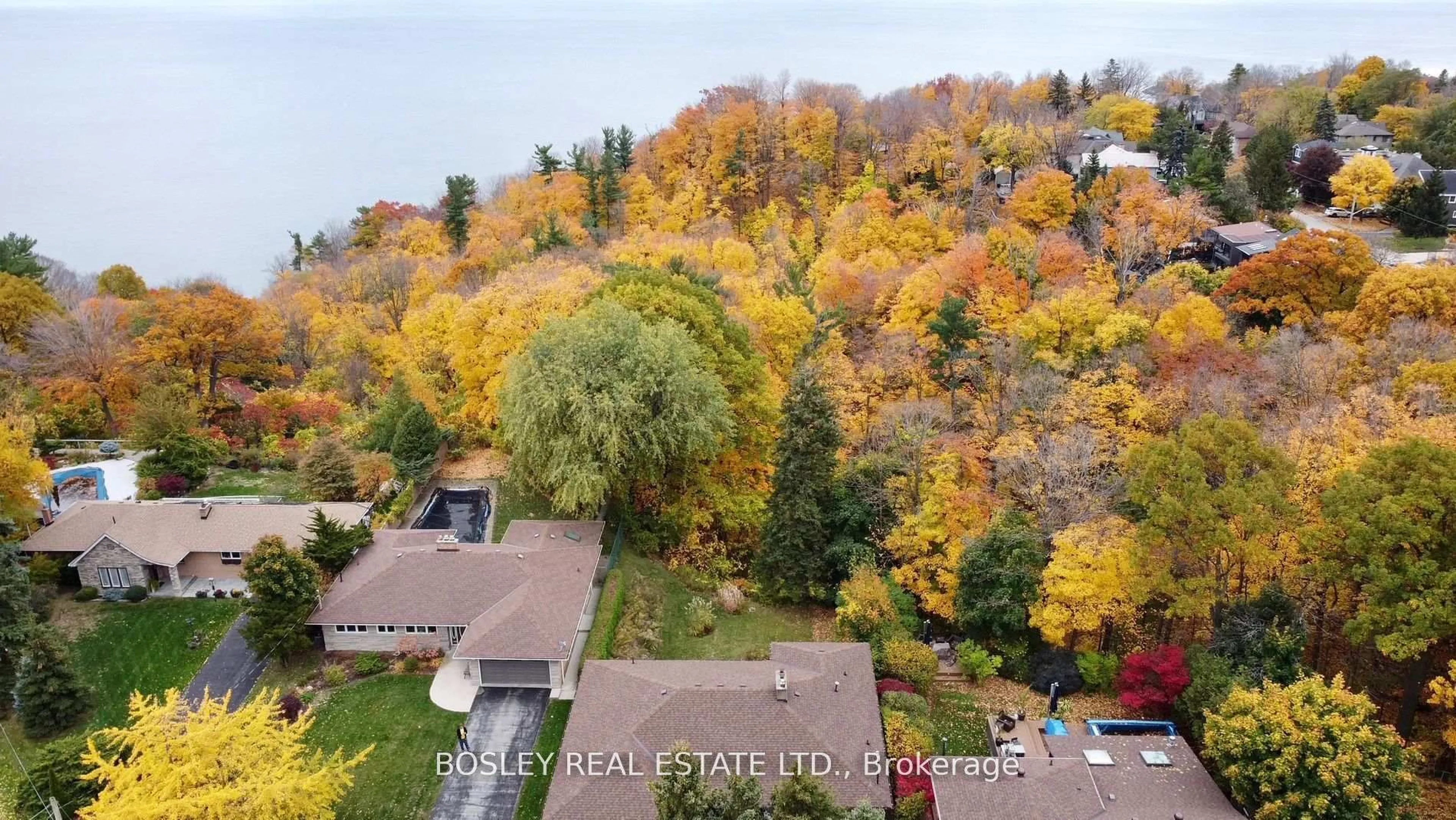 A pic from outside/outdoor area/front of a property/back of a property/a pic from drone, forest/trees view for 25 Ayre Point Rd, Toronto Ontario M1M 1G4