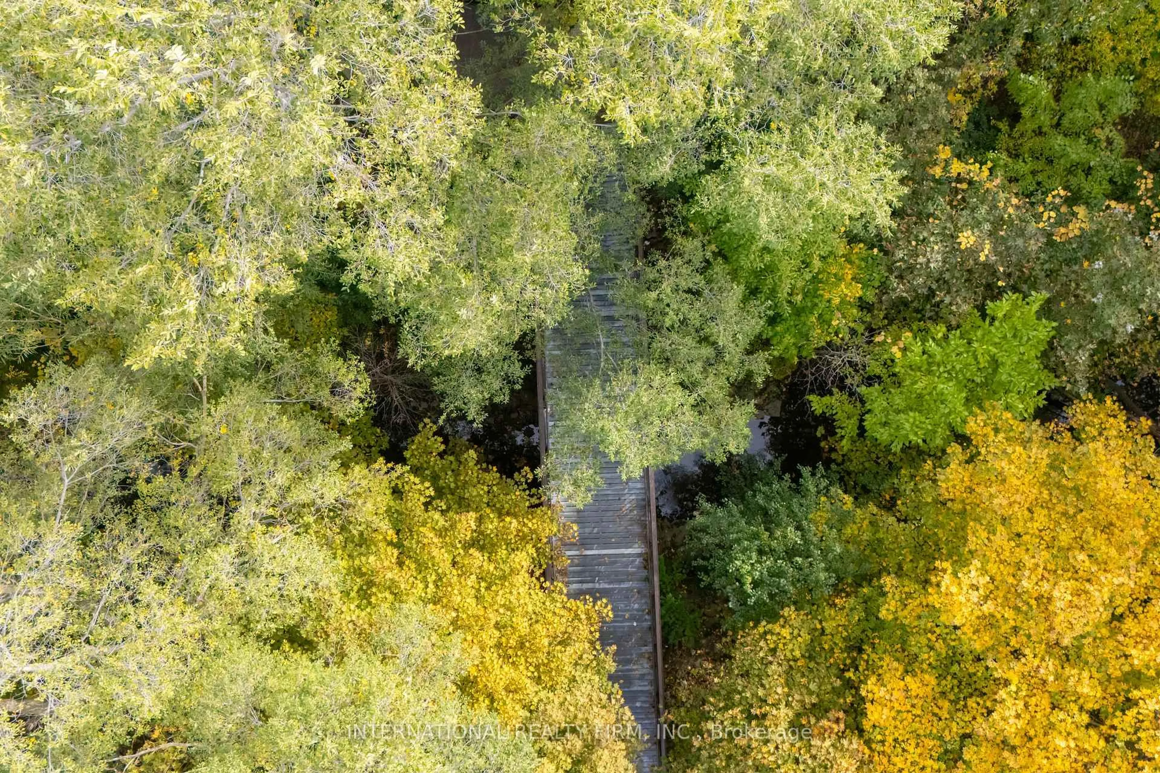 A pic from outside/outdoor area/front of a property/back of a property/a pic from drone, forest/trees view for 141 Roebuck Dr, Toronto Ontario M1K 2H9