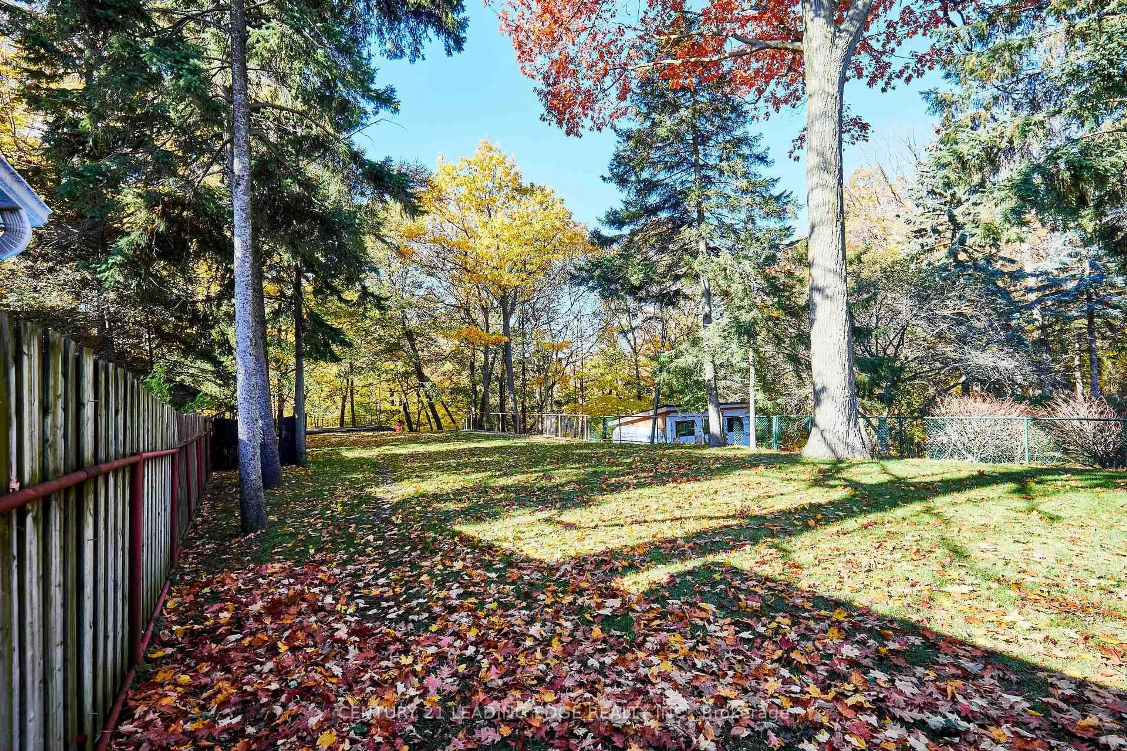 Unknown for 24 Larwood Blvd, Toronto Ontario M1M 2M5